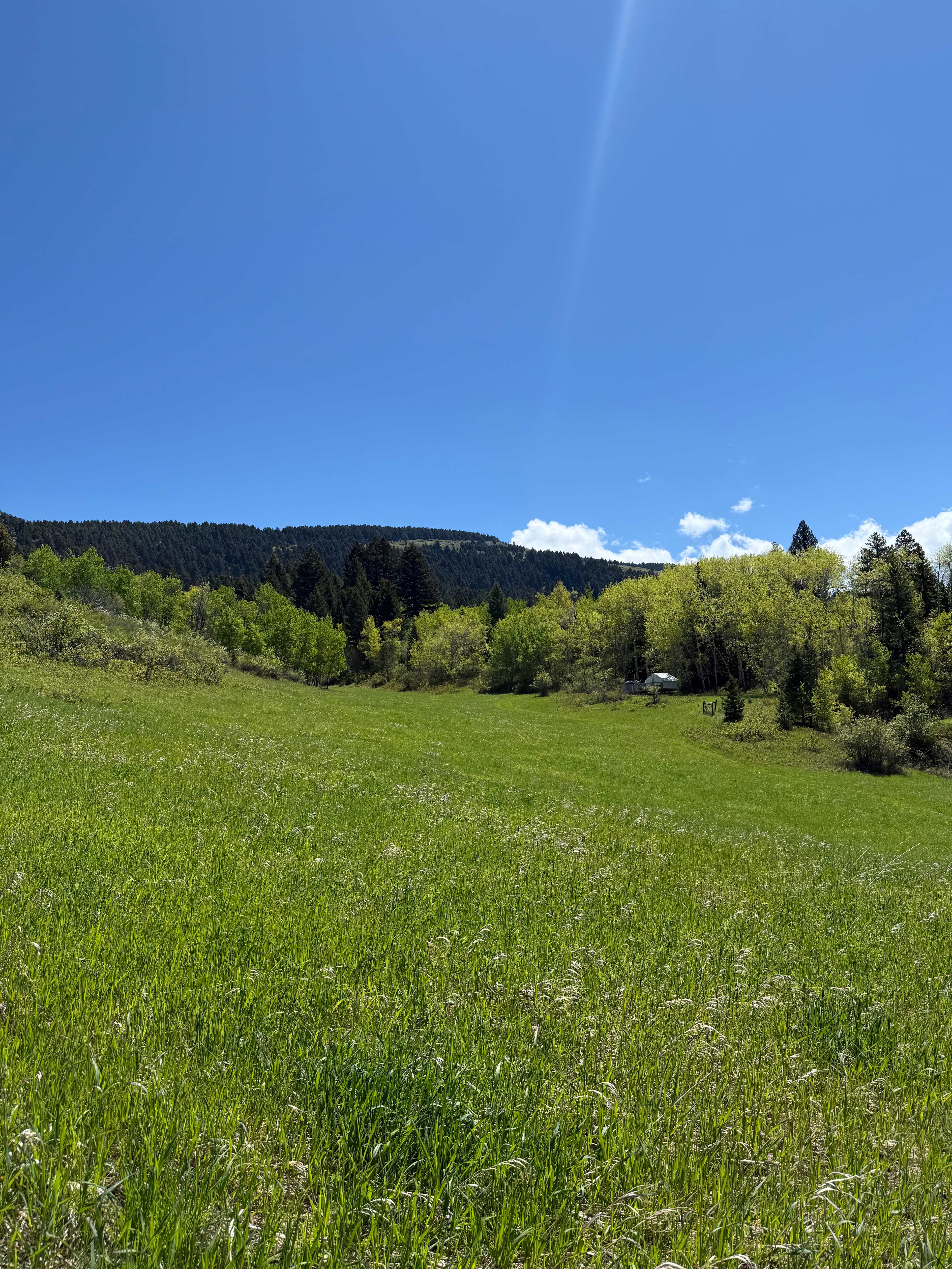 Bear Canyon Bliss