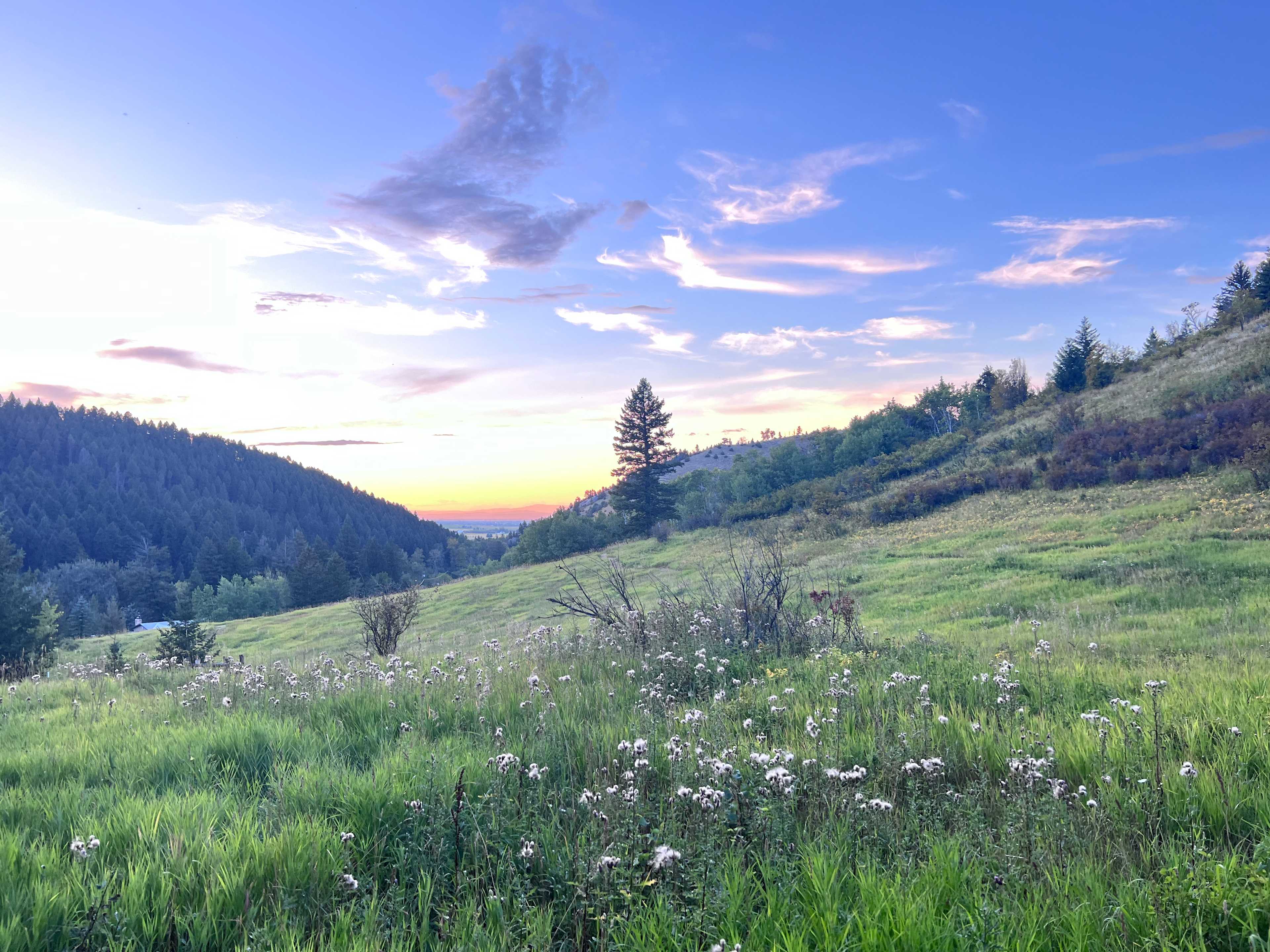 Bear Canyon Bliss