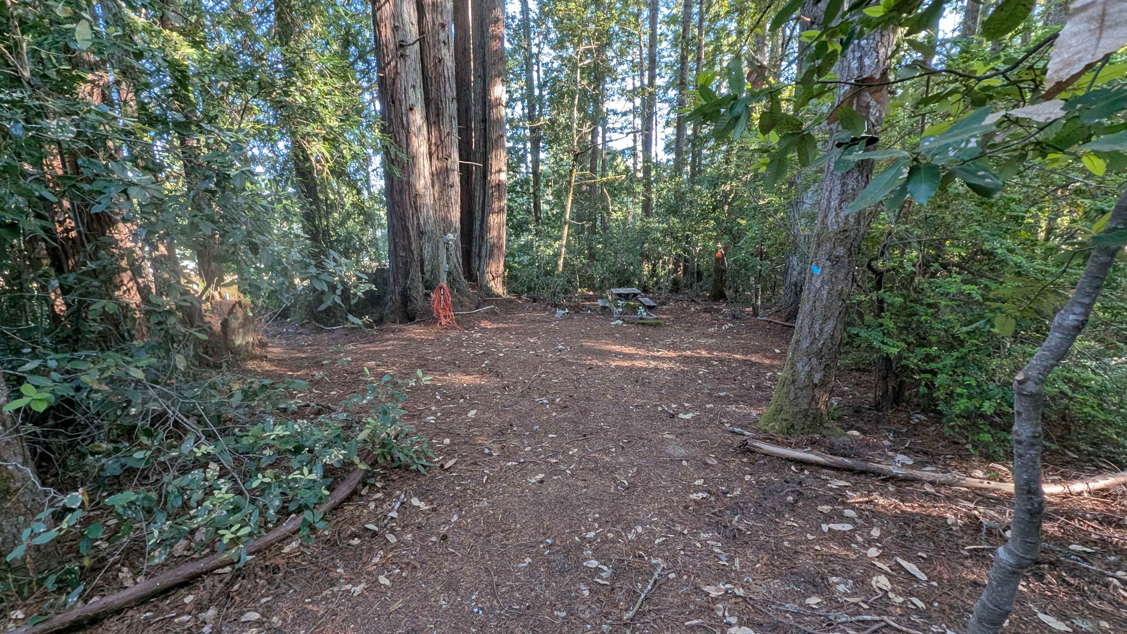 Larkspur's Hollow - Camp & Garden