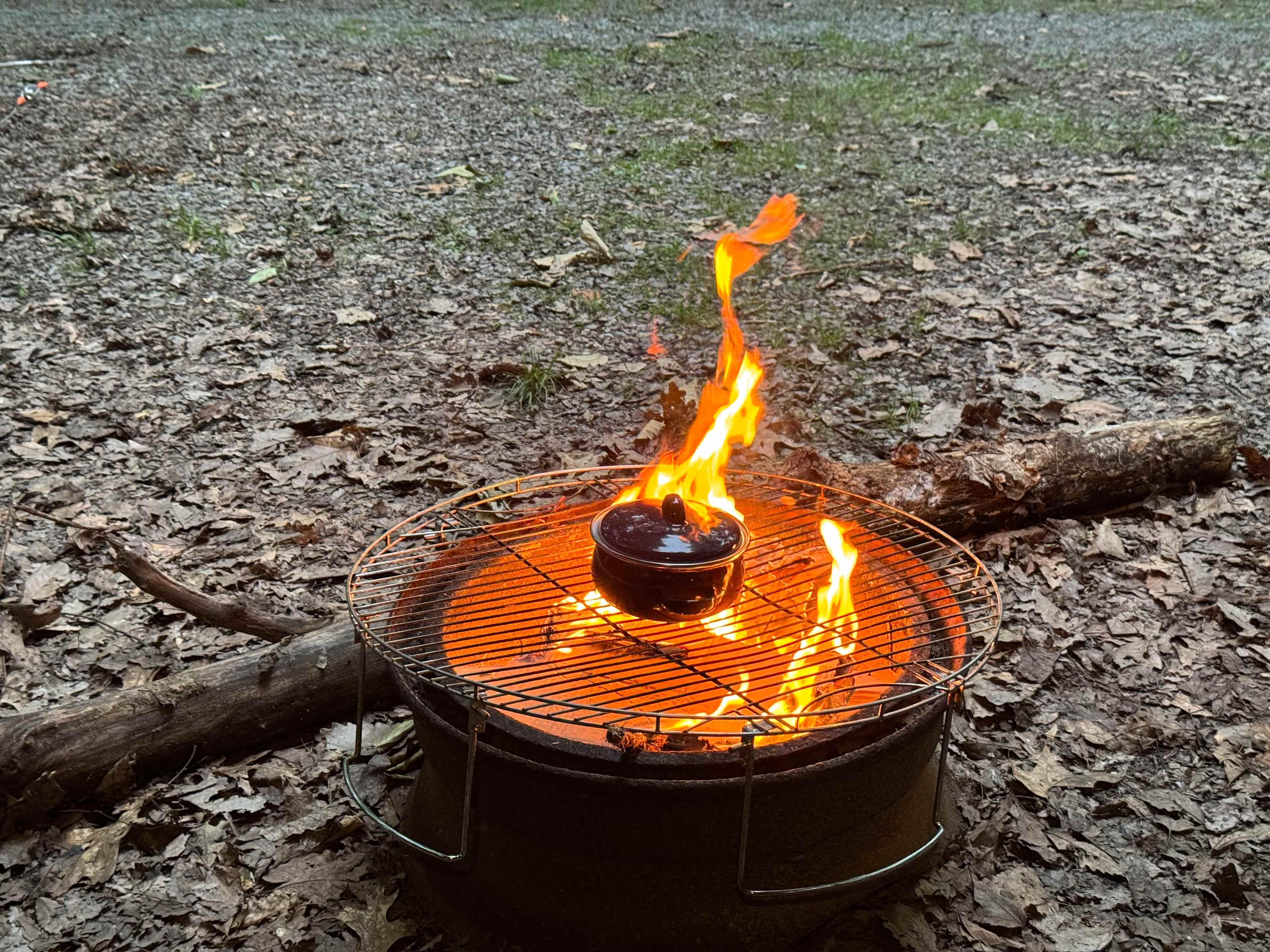 Ray's Campground