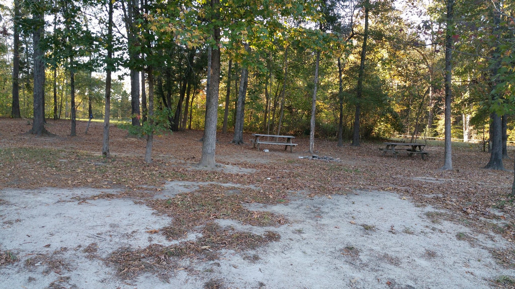 Tamarac Marina and Campground
