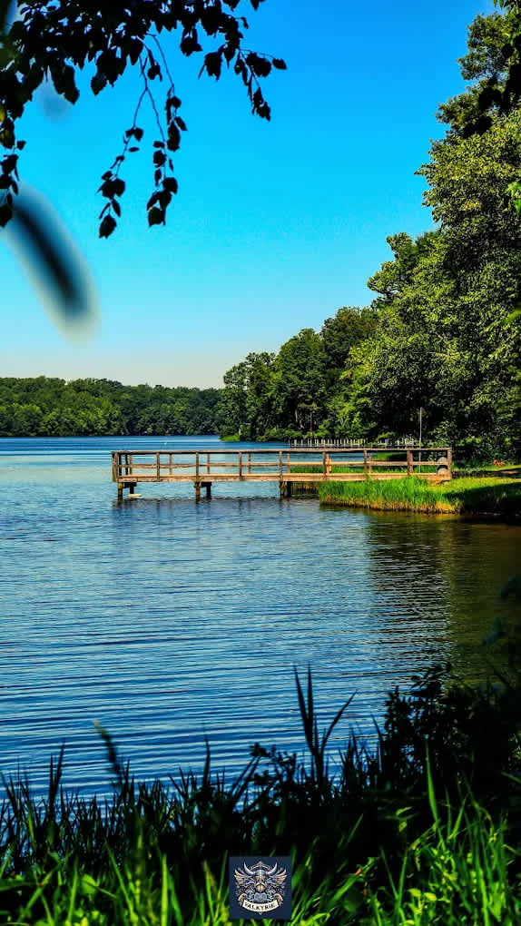 Lake Reidsville Park