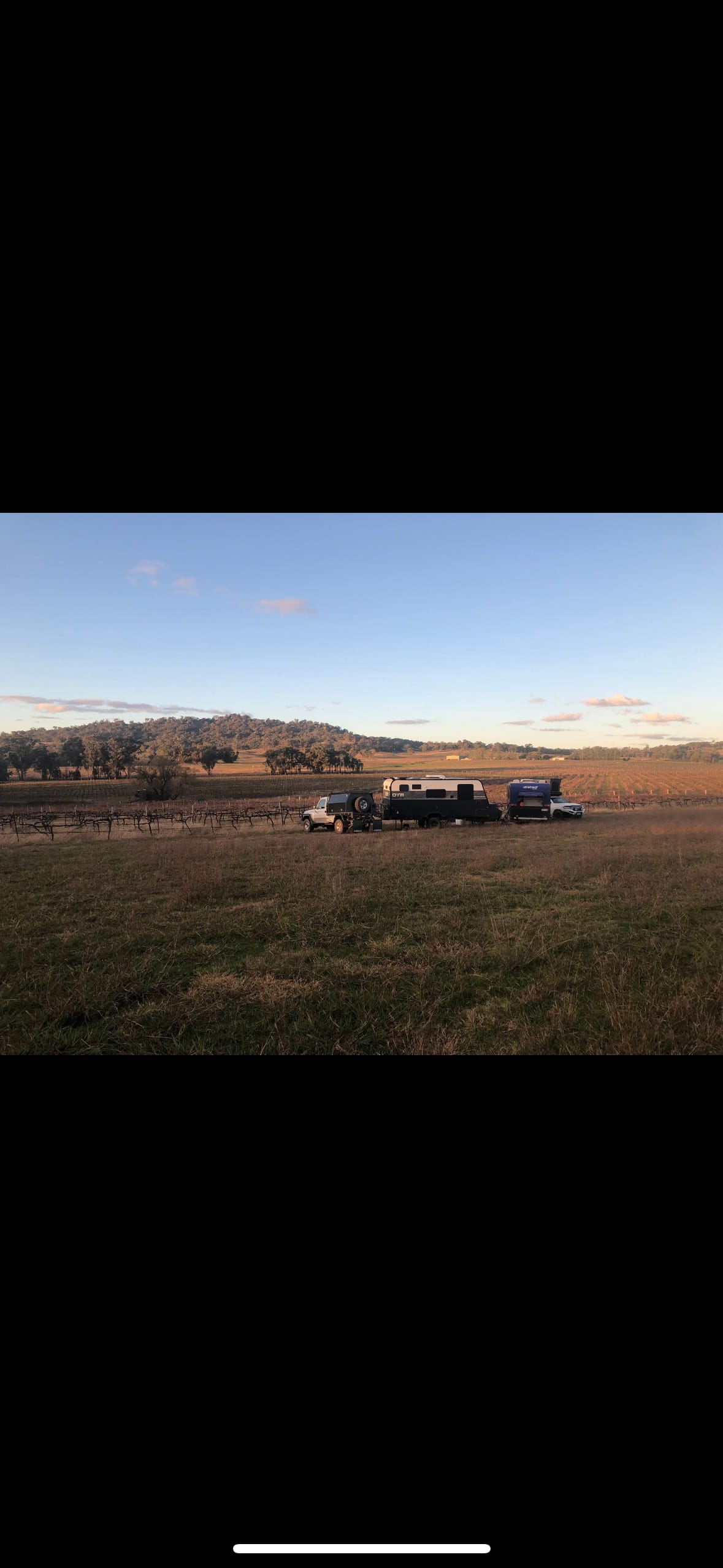 Vans in the Vines Mudgee