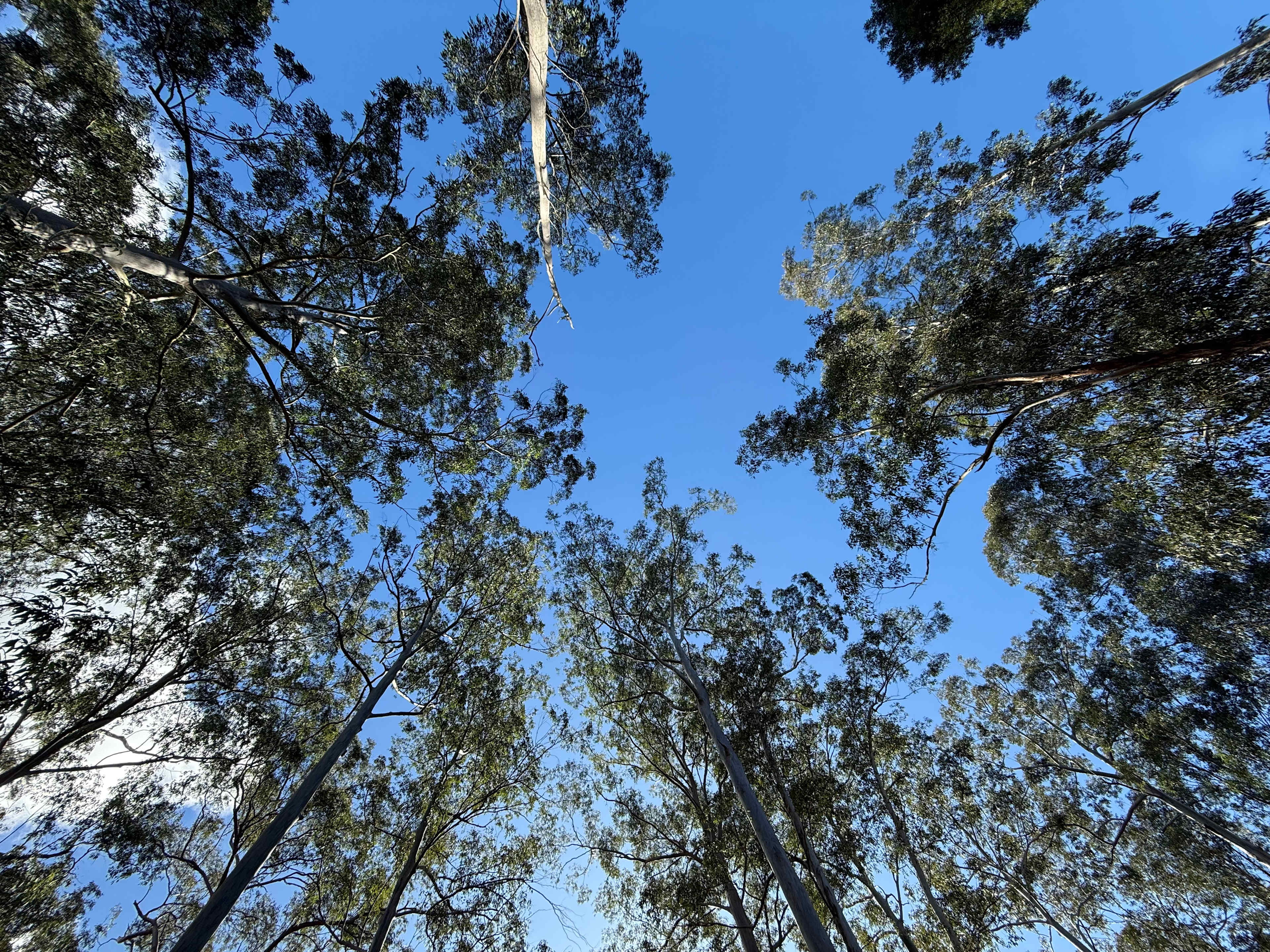 Jila Camp Grounds