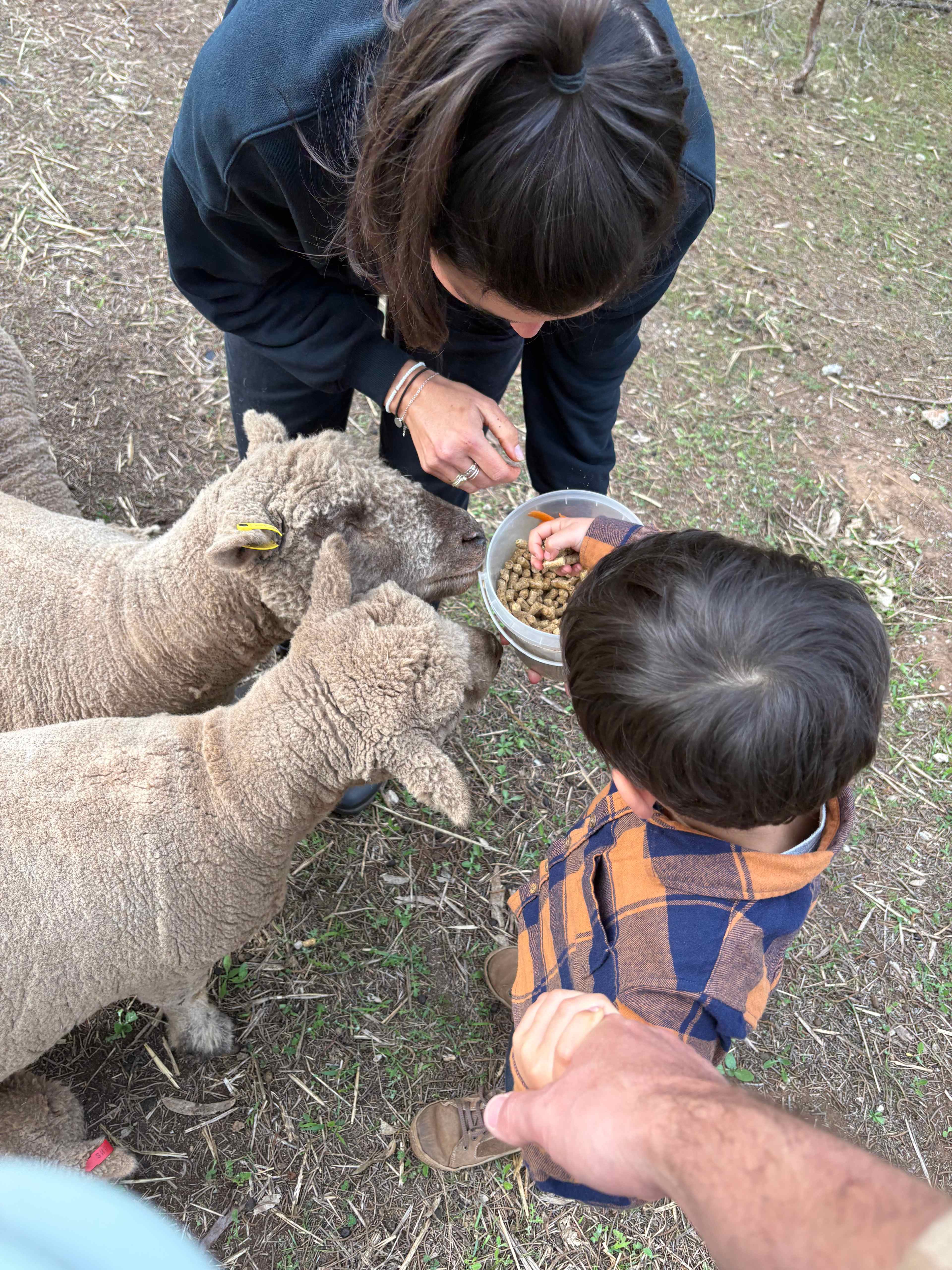 Sandalwood Downs  Farm Stay Toodyay