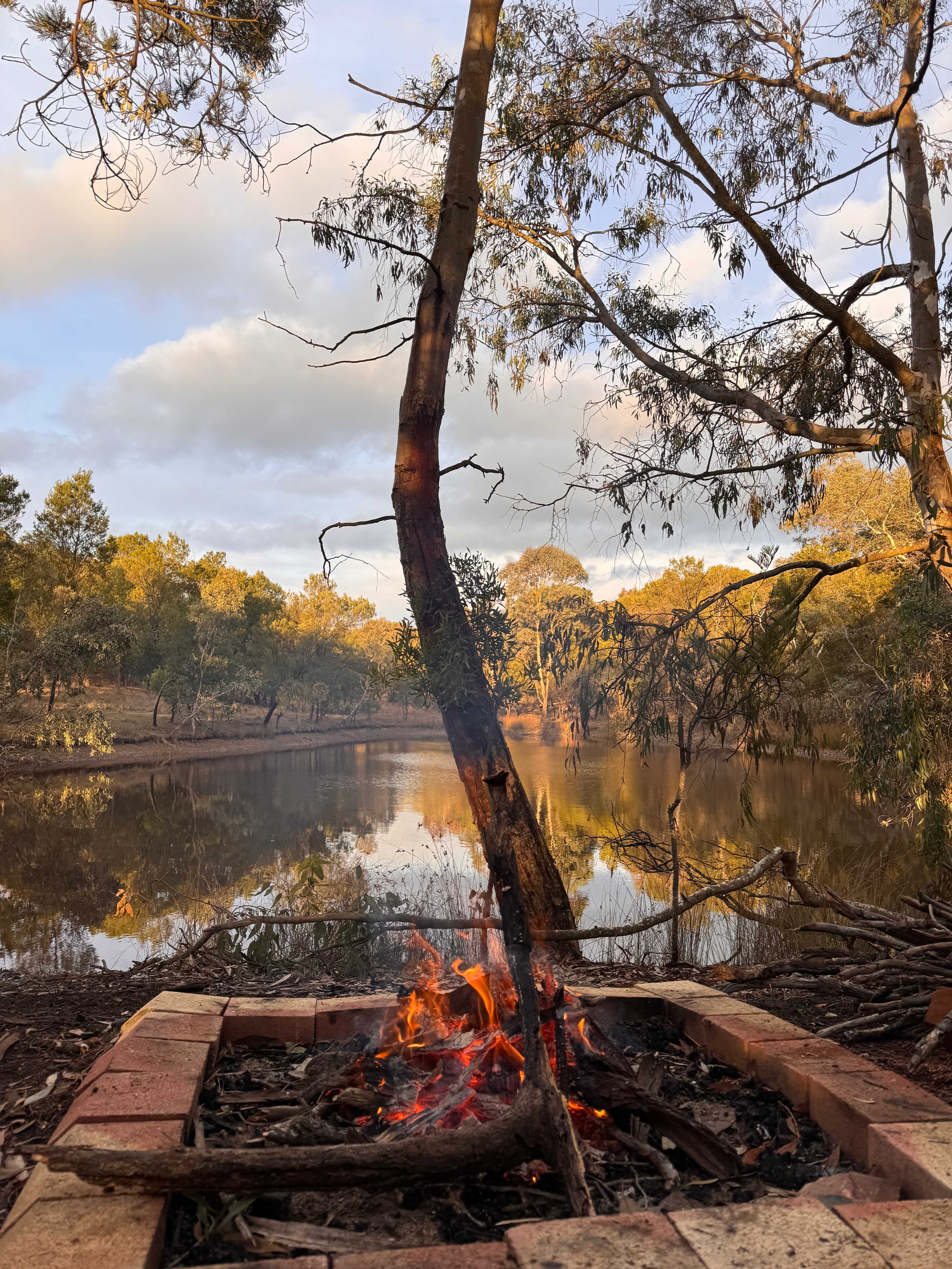 Reedy Creek Camping