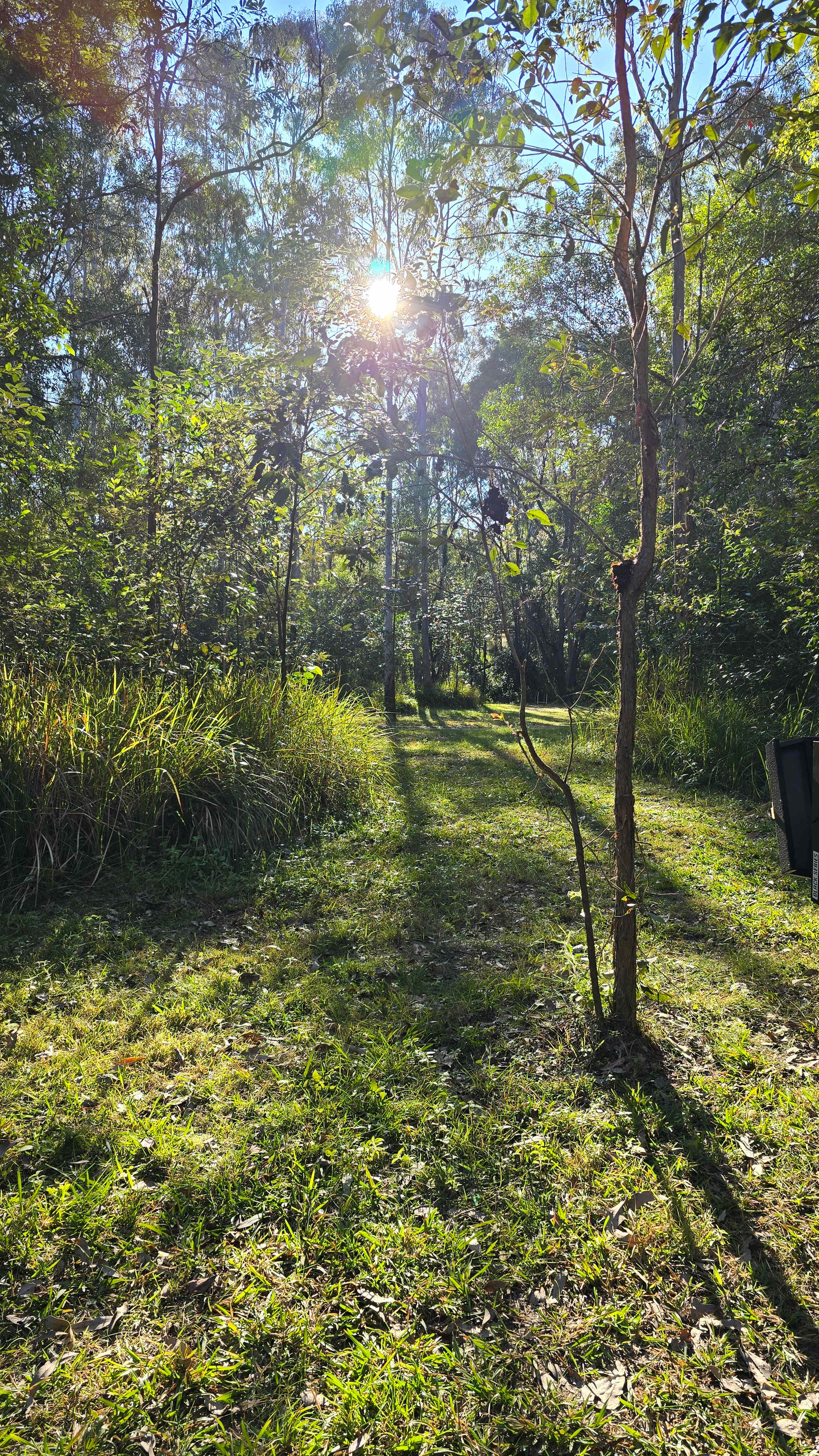 Hidden Creek Farm Qld