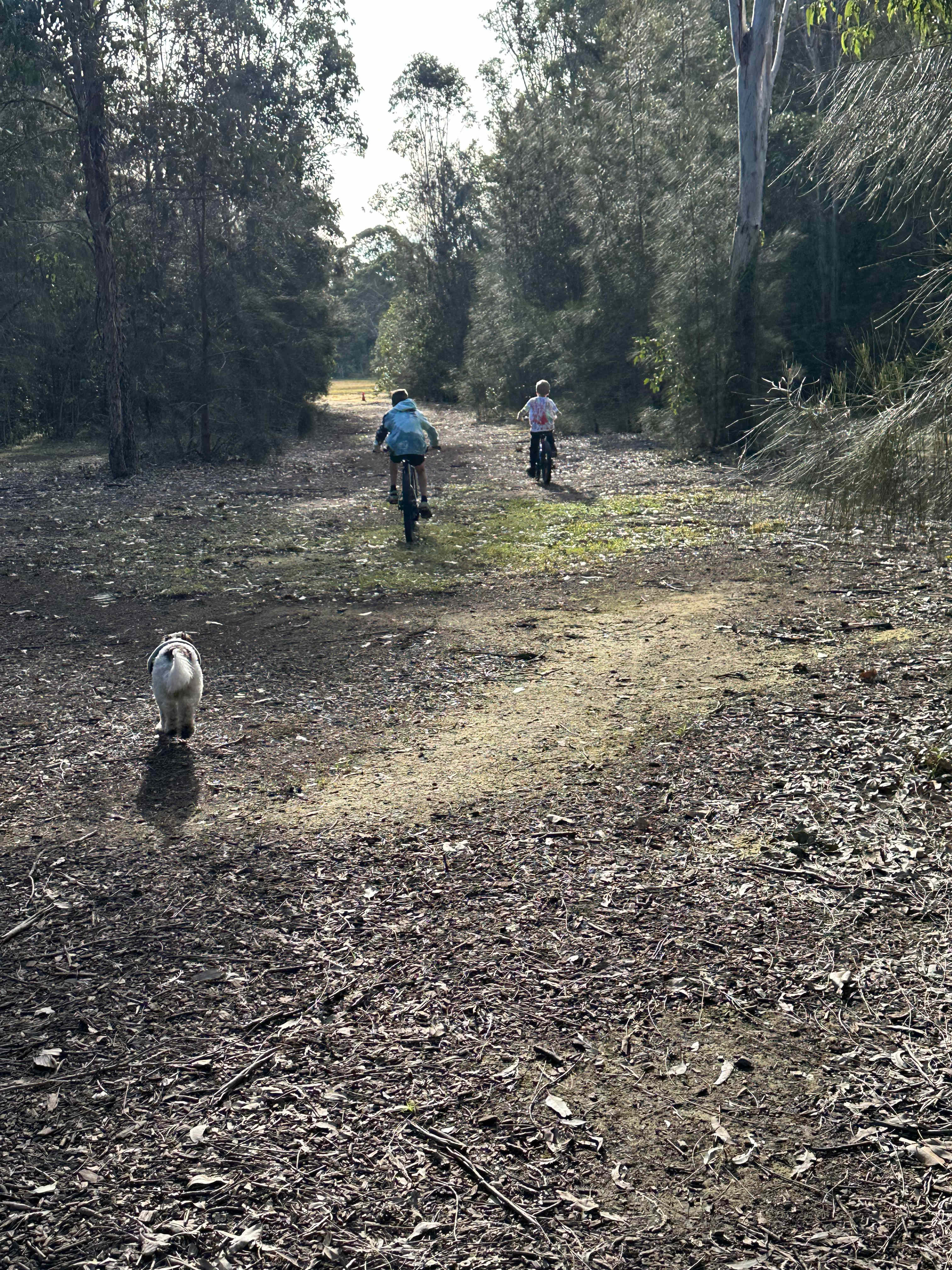 Babbling Brook 4WD Camping