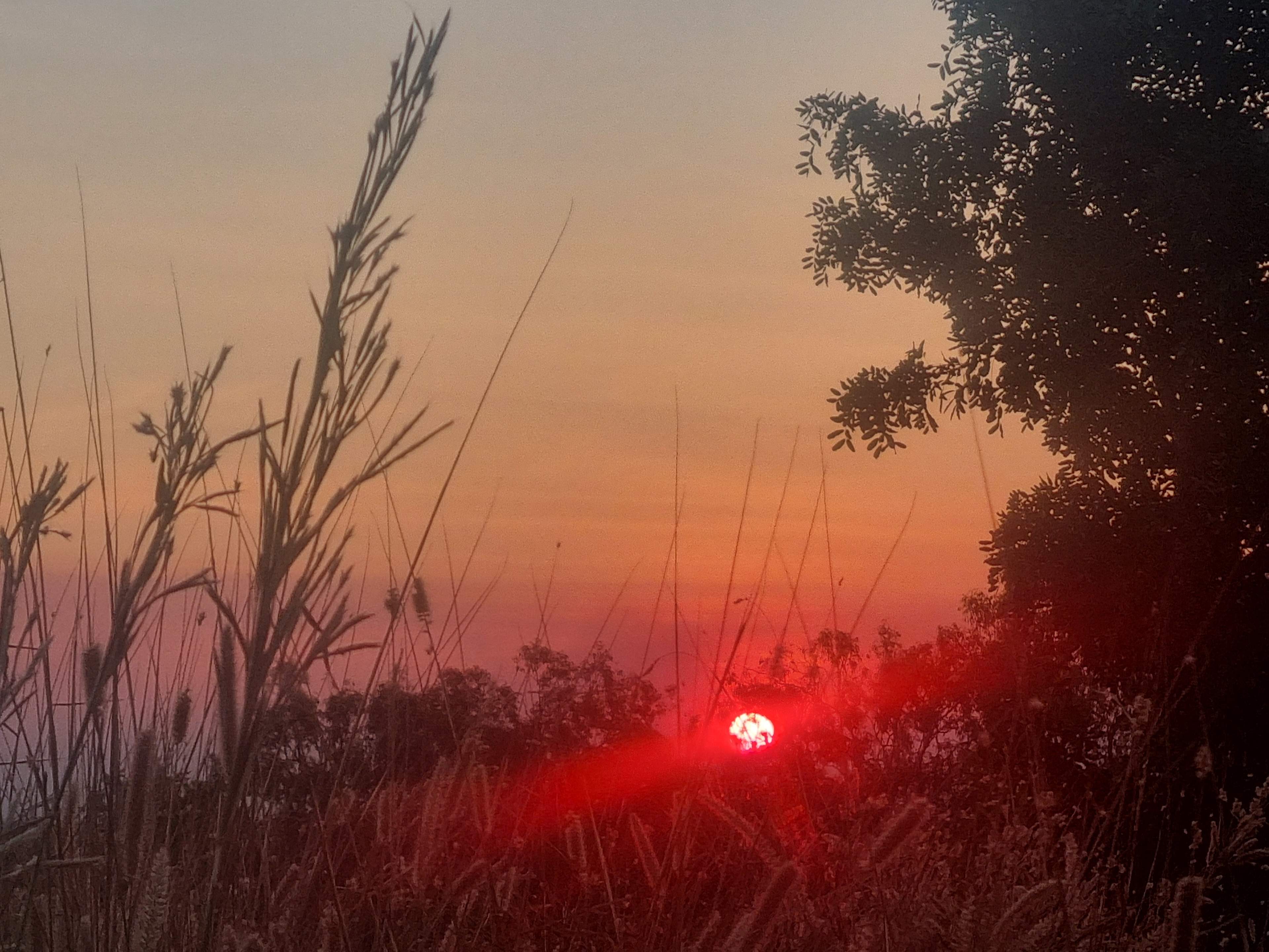 Darwin River Fern Farm