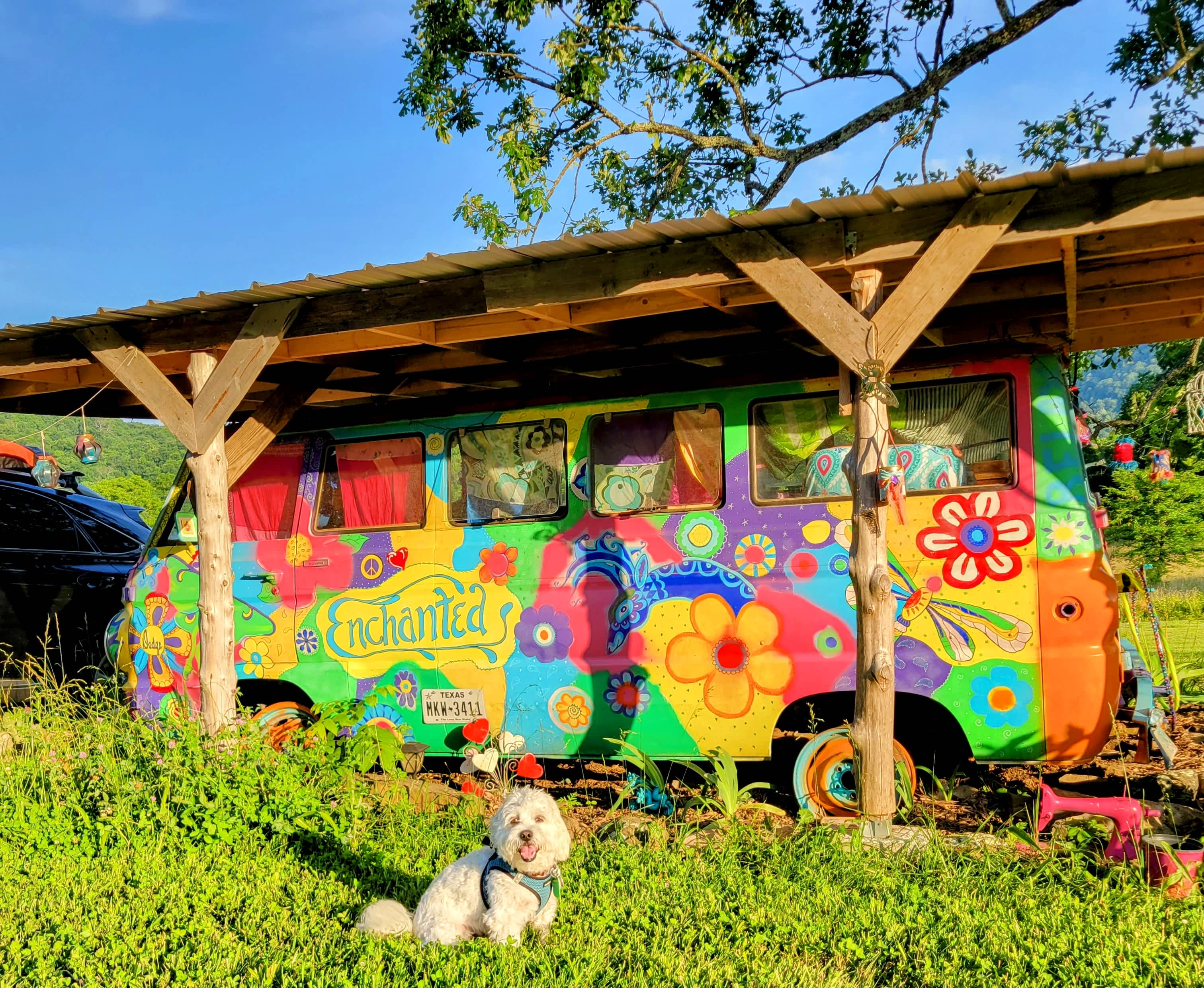 Enchanted Ozark Fairytale Camp
