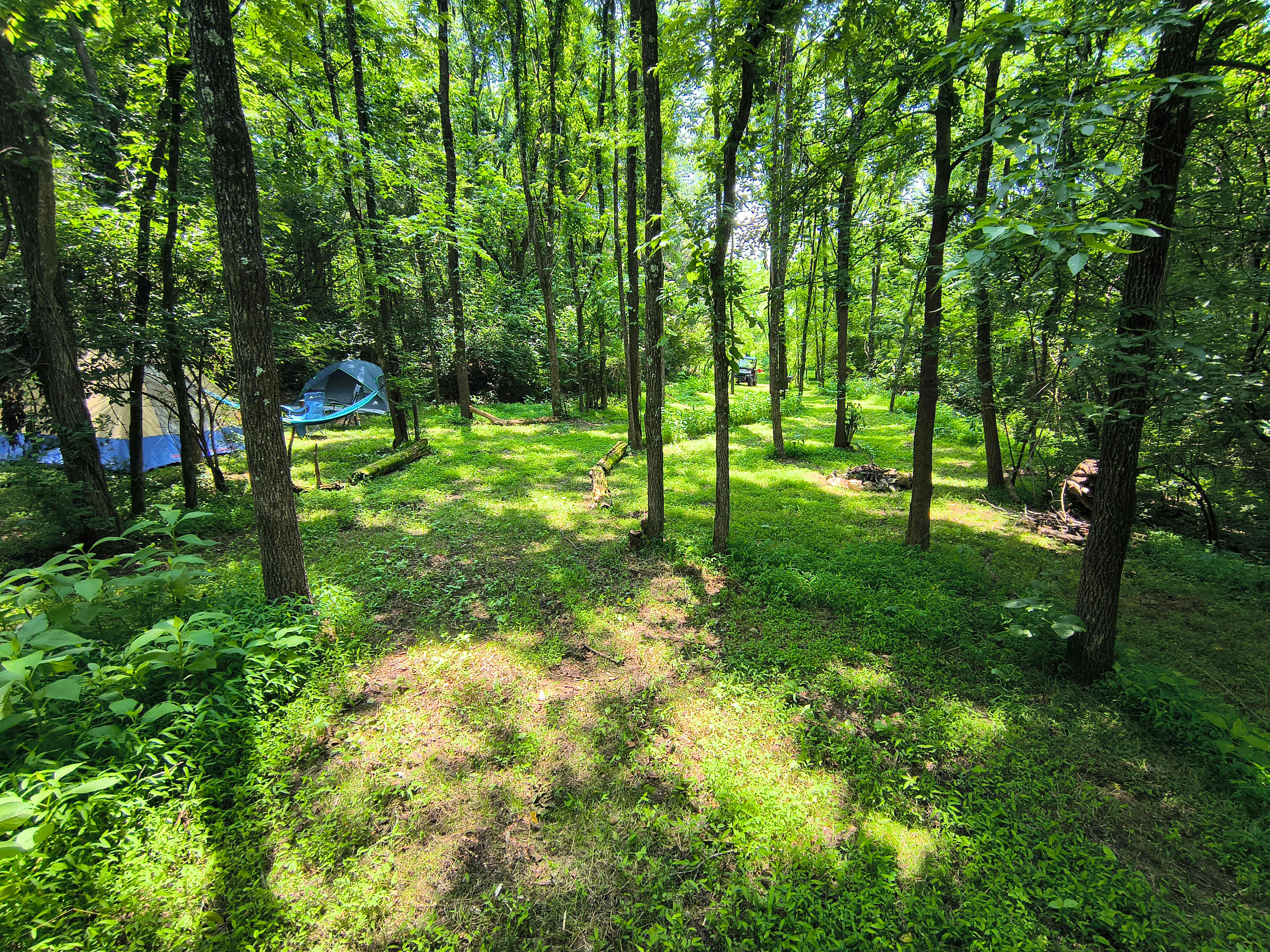 Sunny Hills Farm & Camp