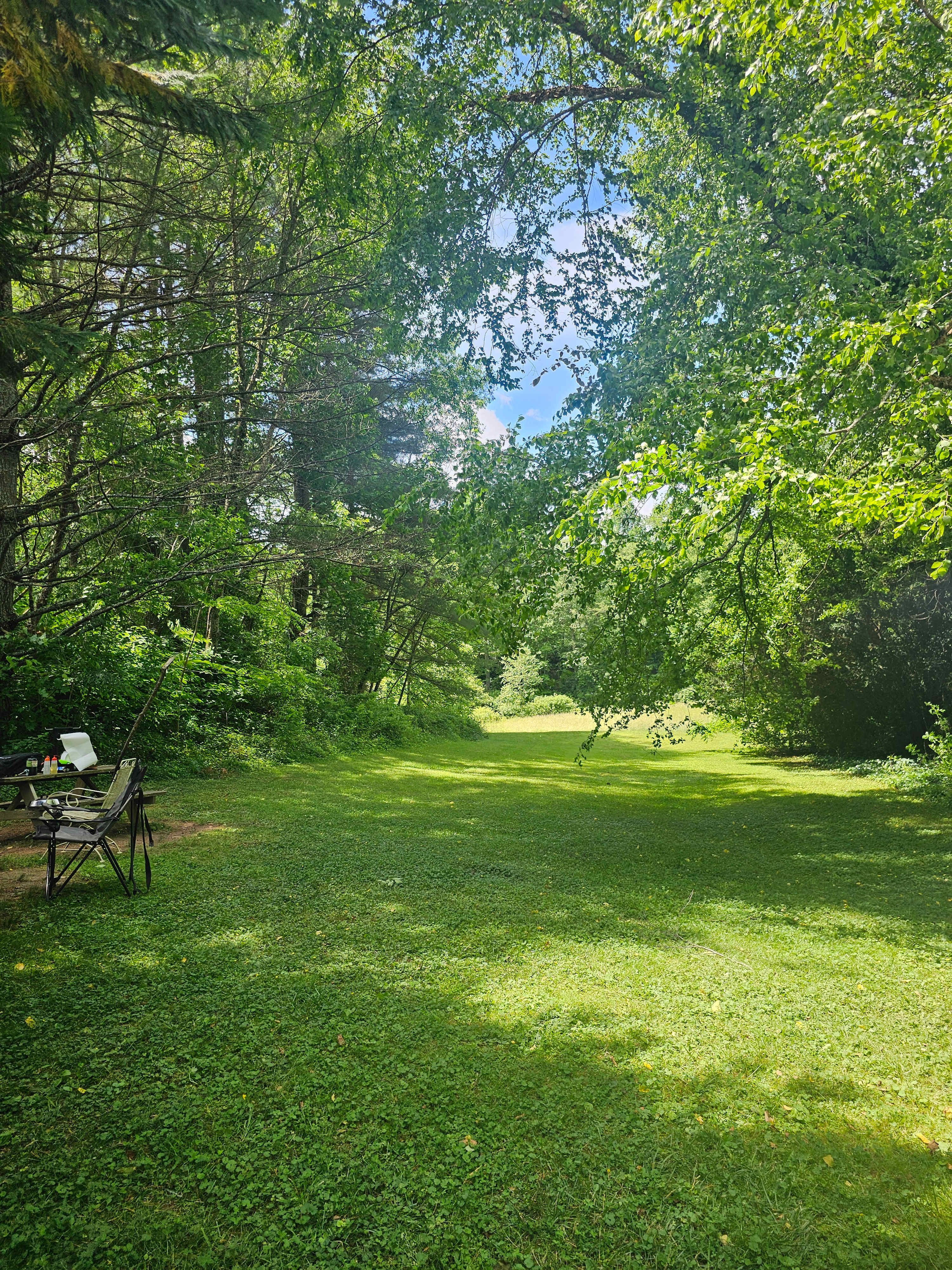 The site