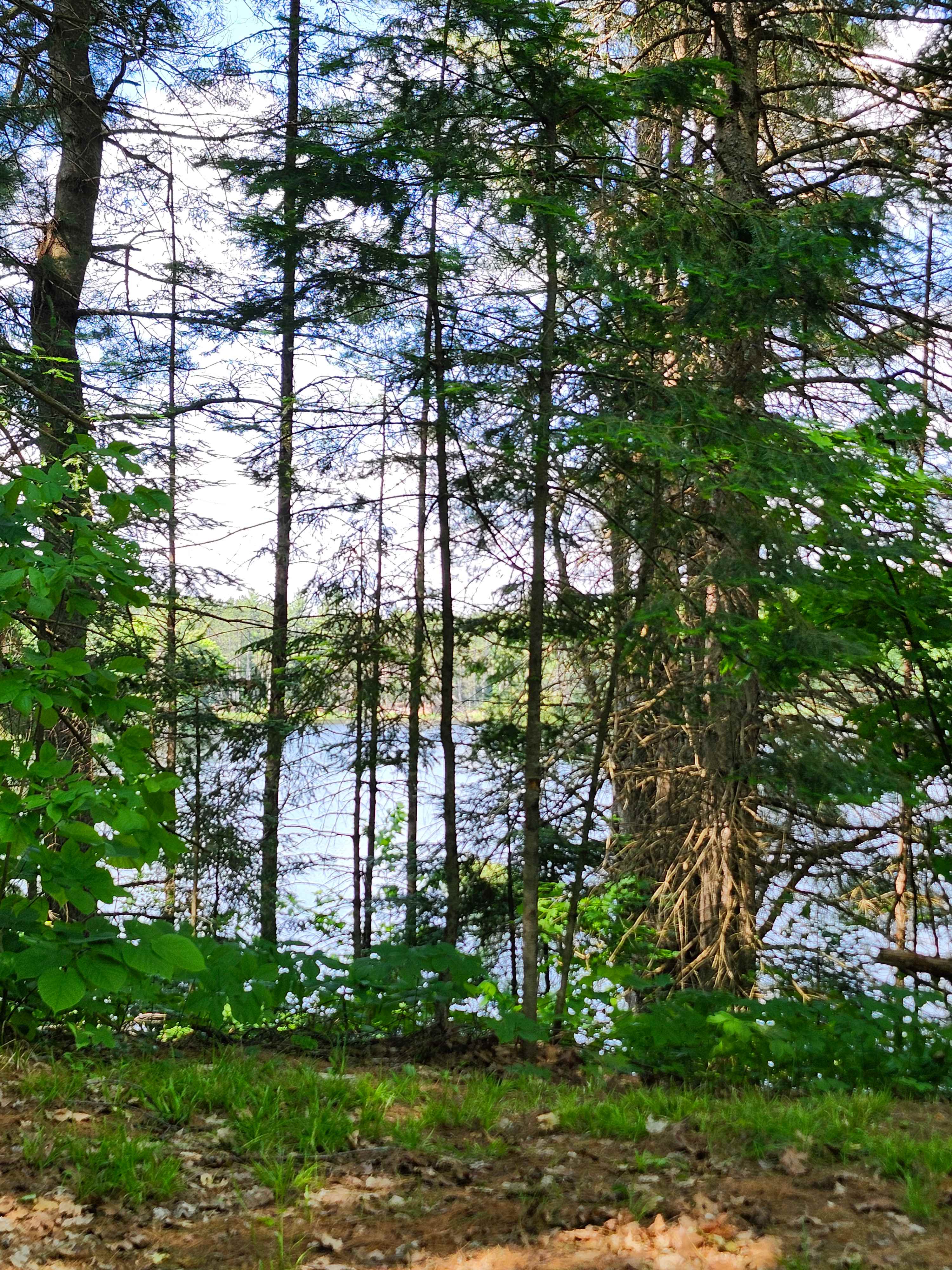 Ball Lake Tent Camping