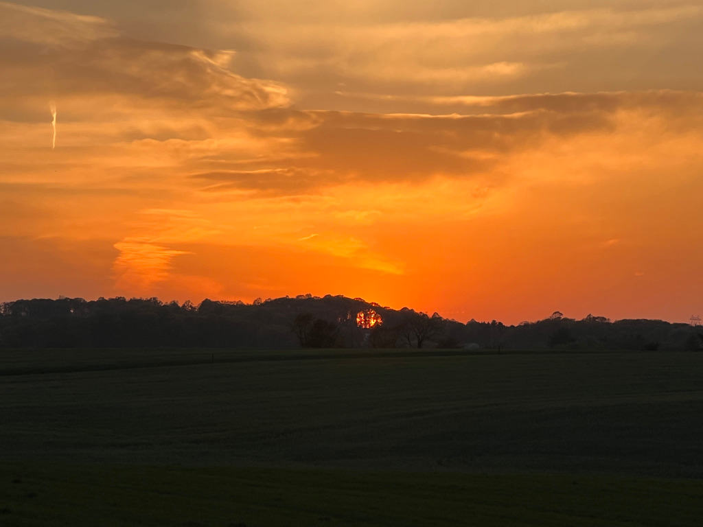 Big Sky Sunsets