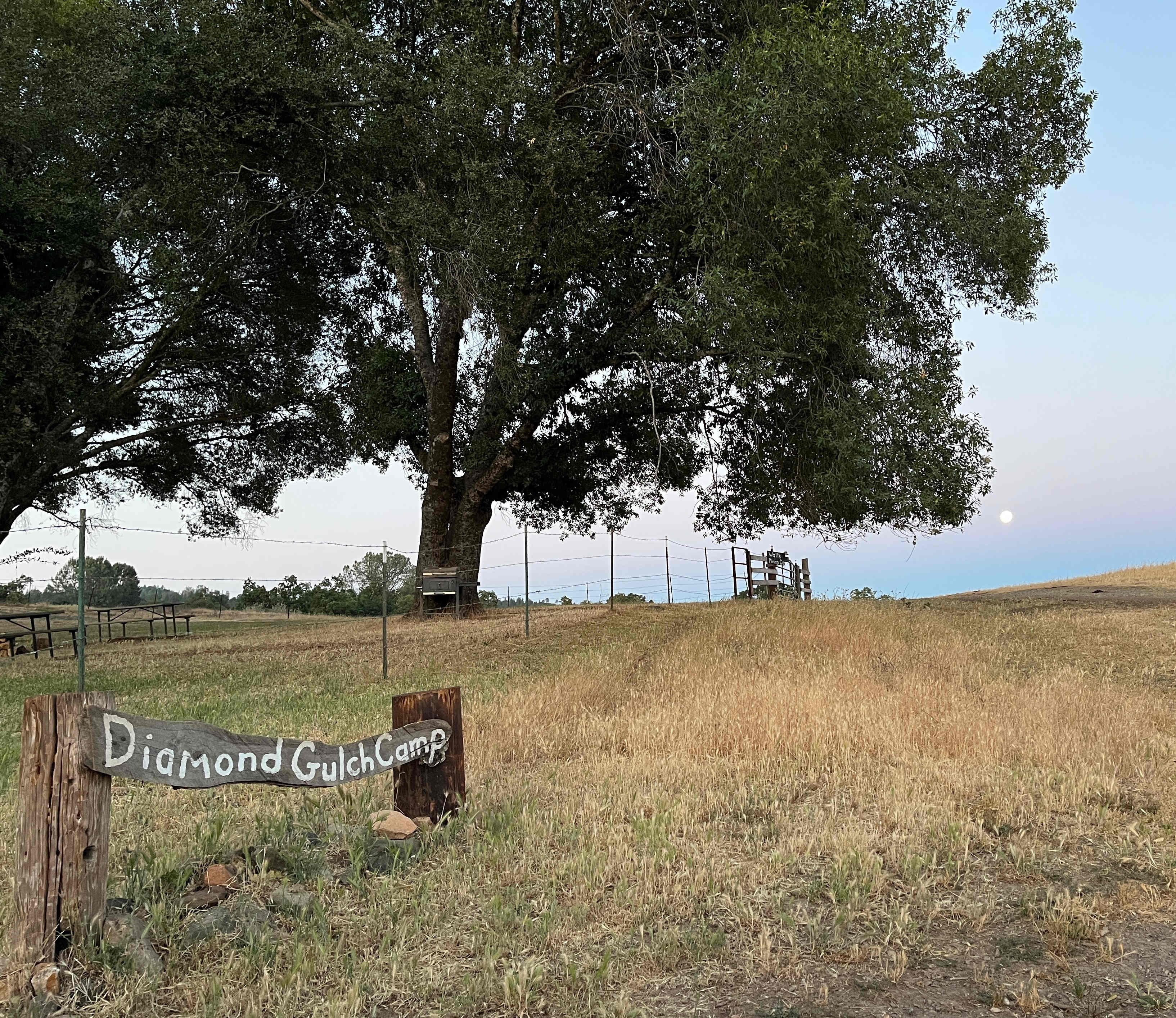 Diamond Gulch