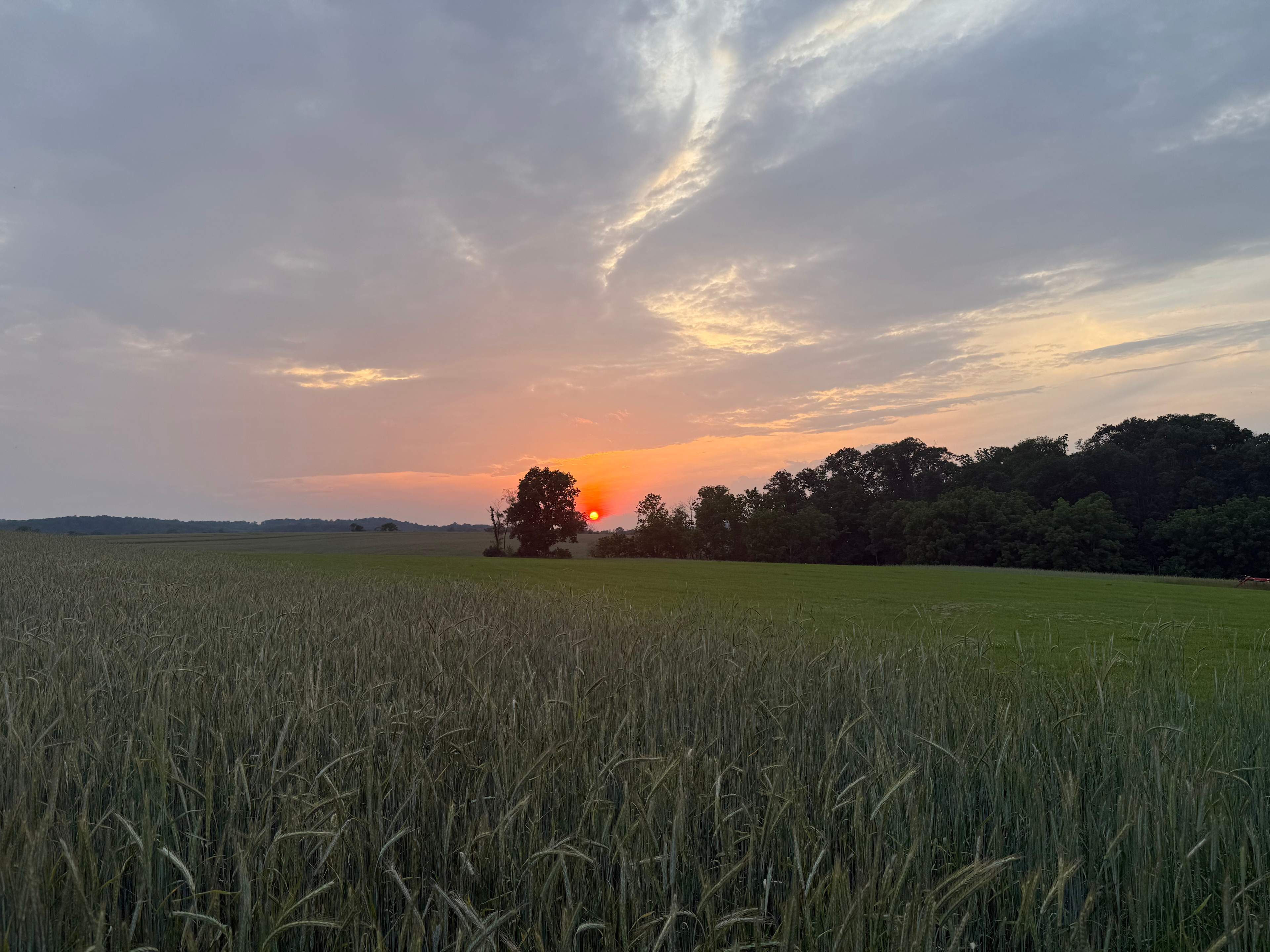 Big Sky Sunsets