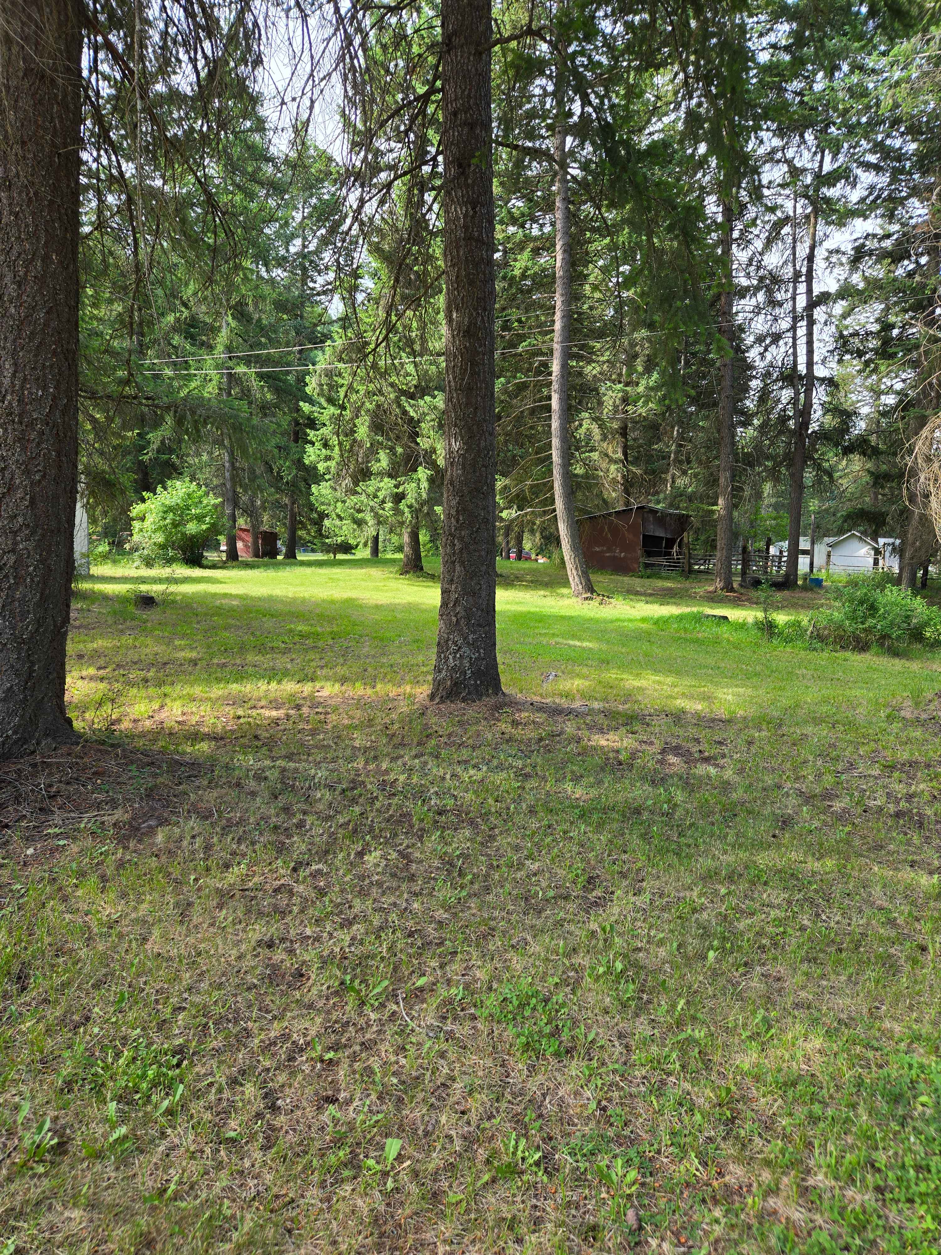 Cardwell Spur