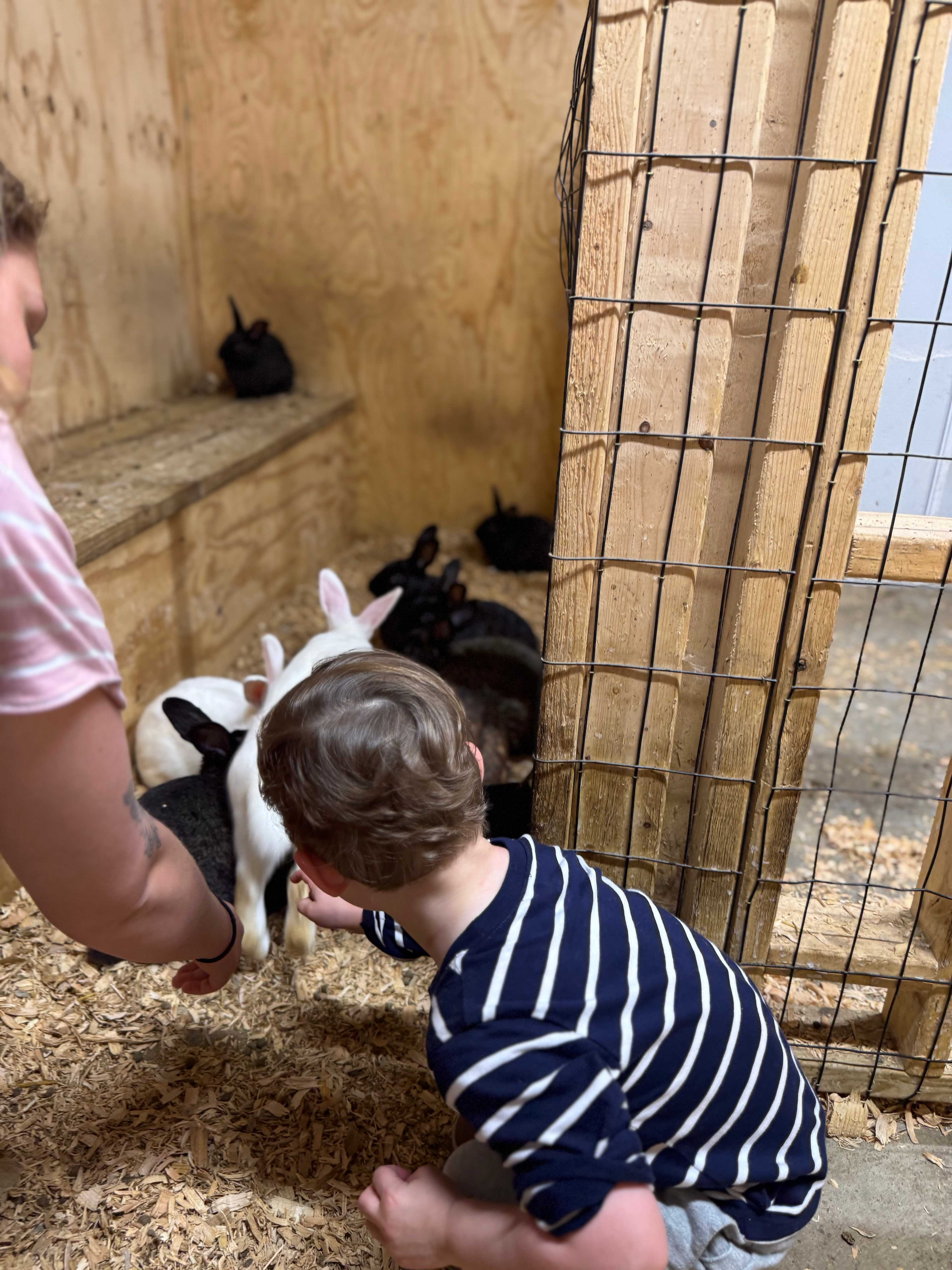 2Chicks And A Farm