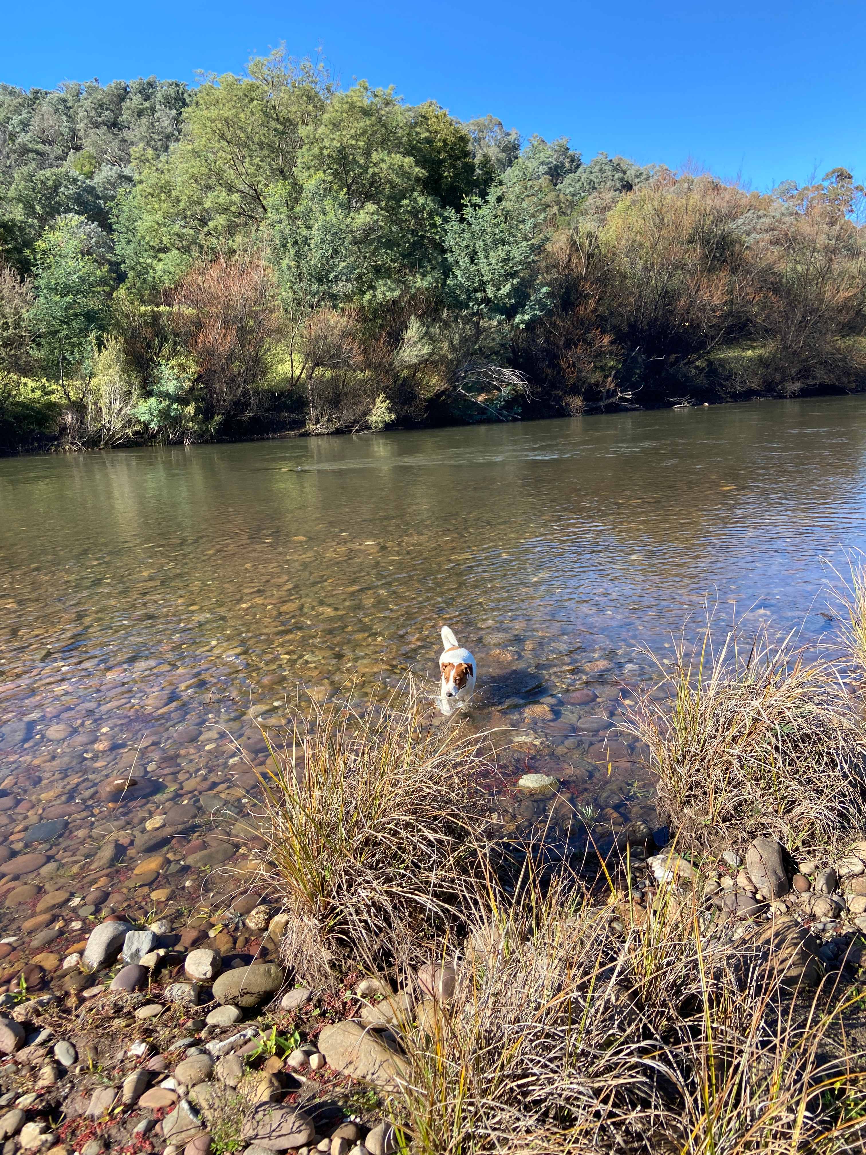 Great spots for paddling and swimming