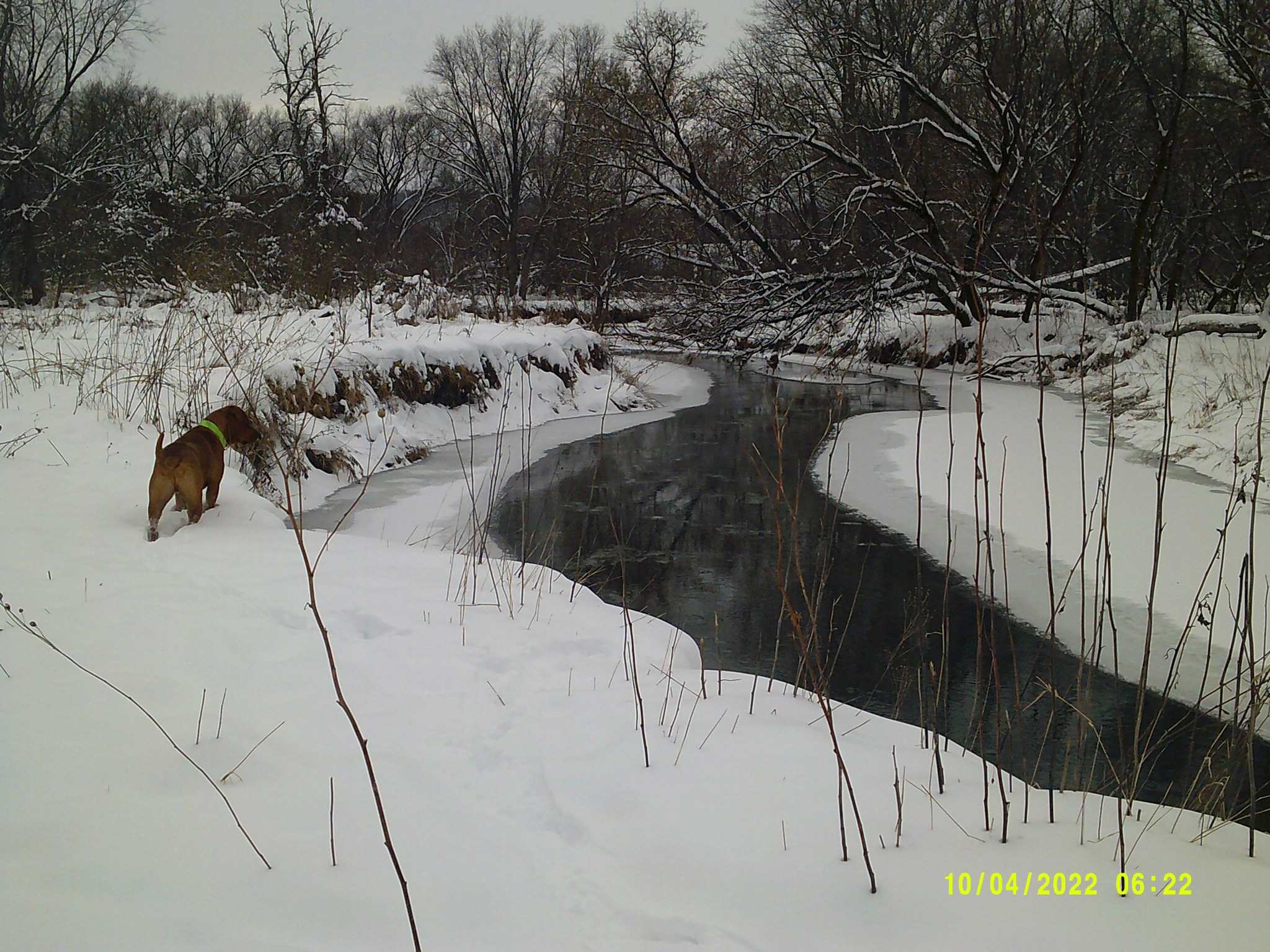 Oxbow Island on the Pine.