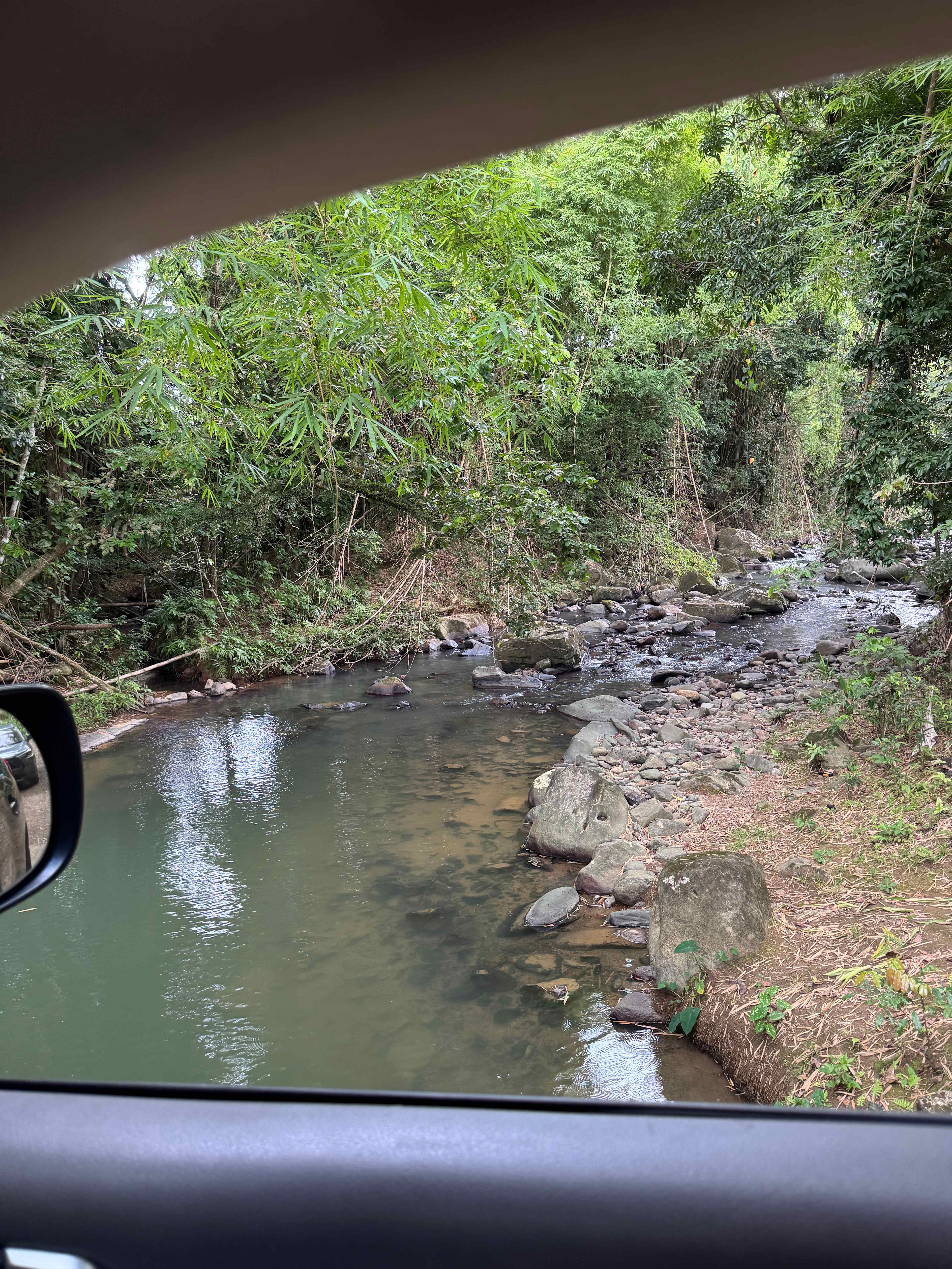 Hacienda Monte Rey near El Yunque