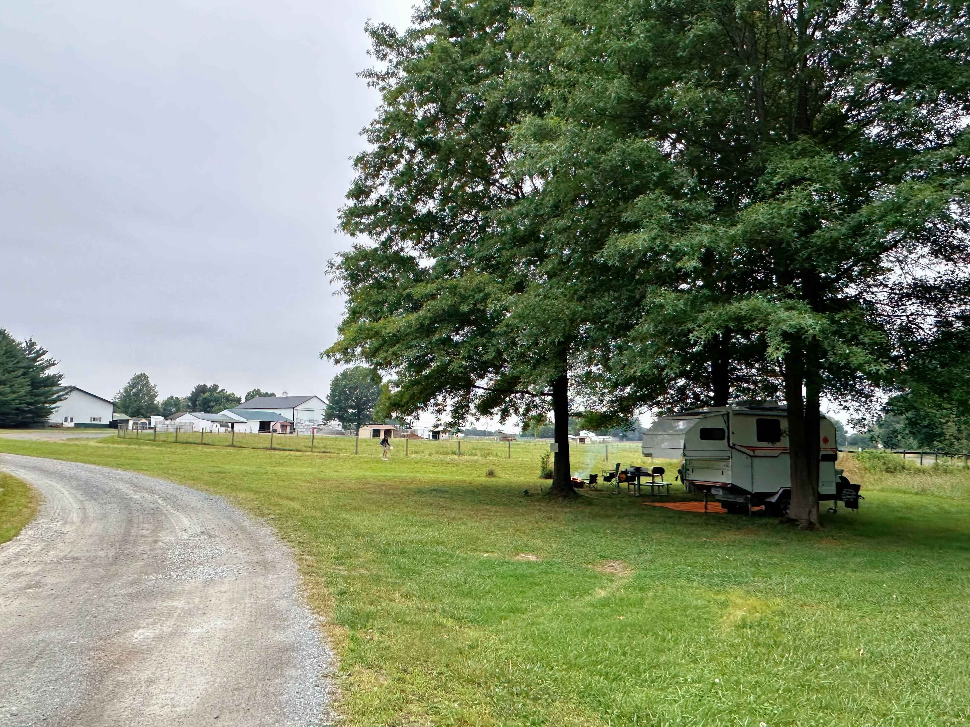 Bellview Farm
