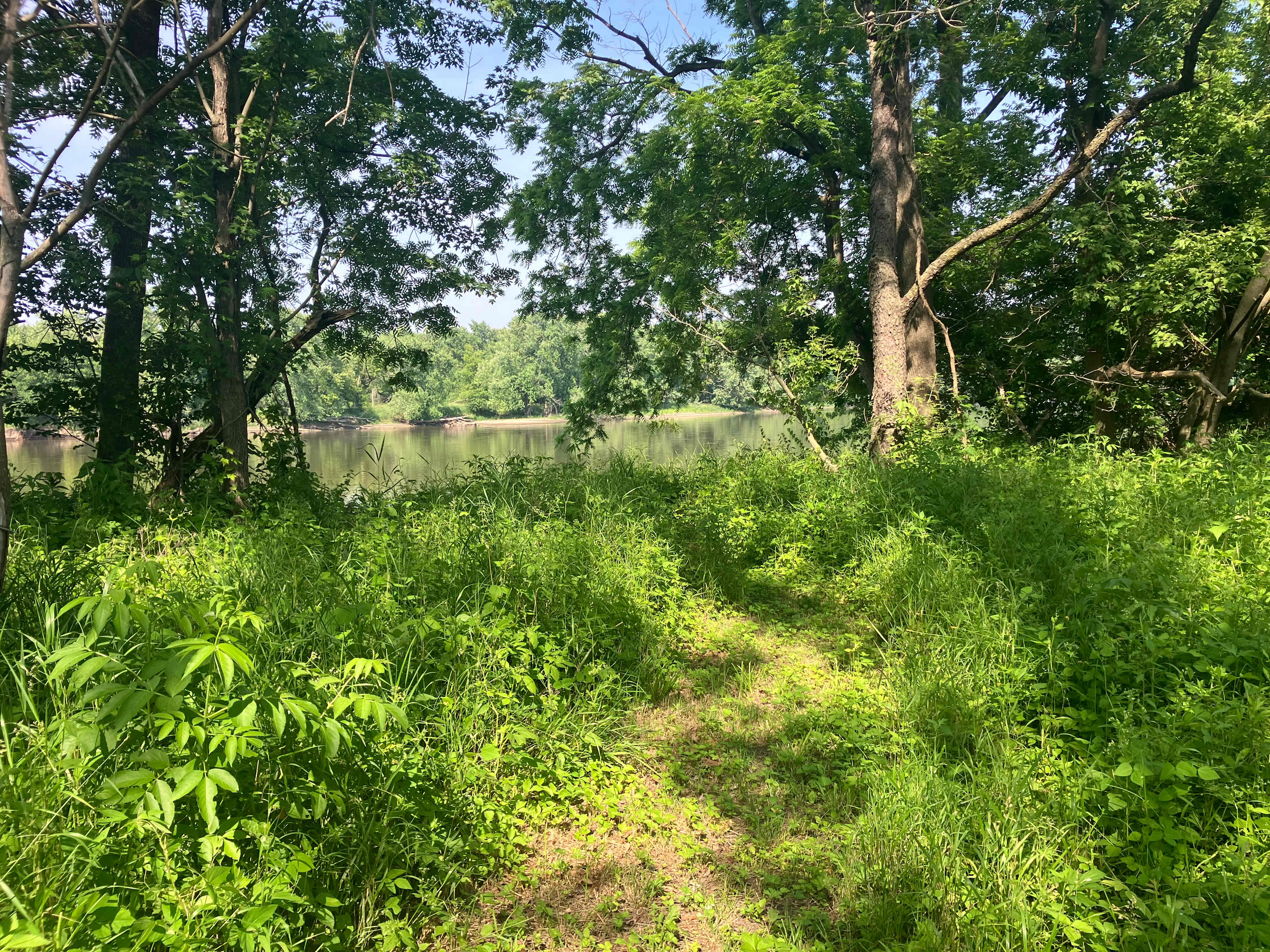 View of Cedar River