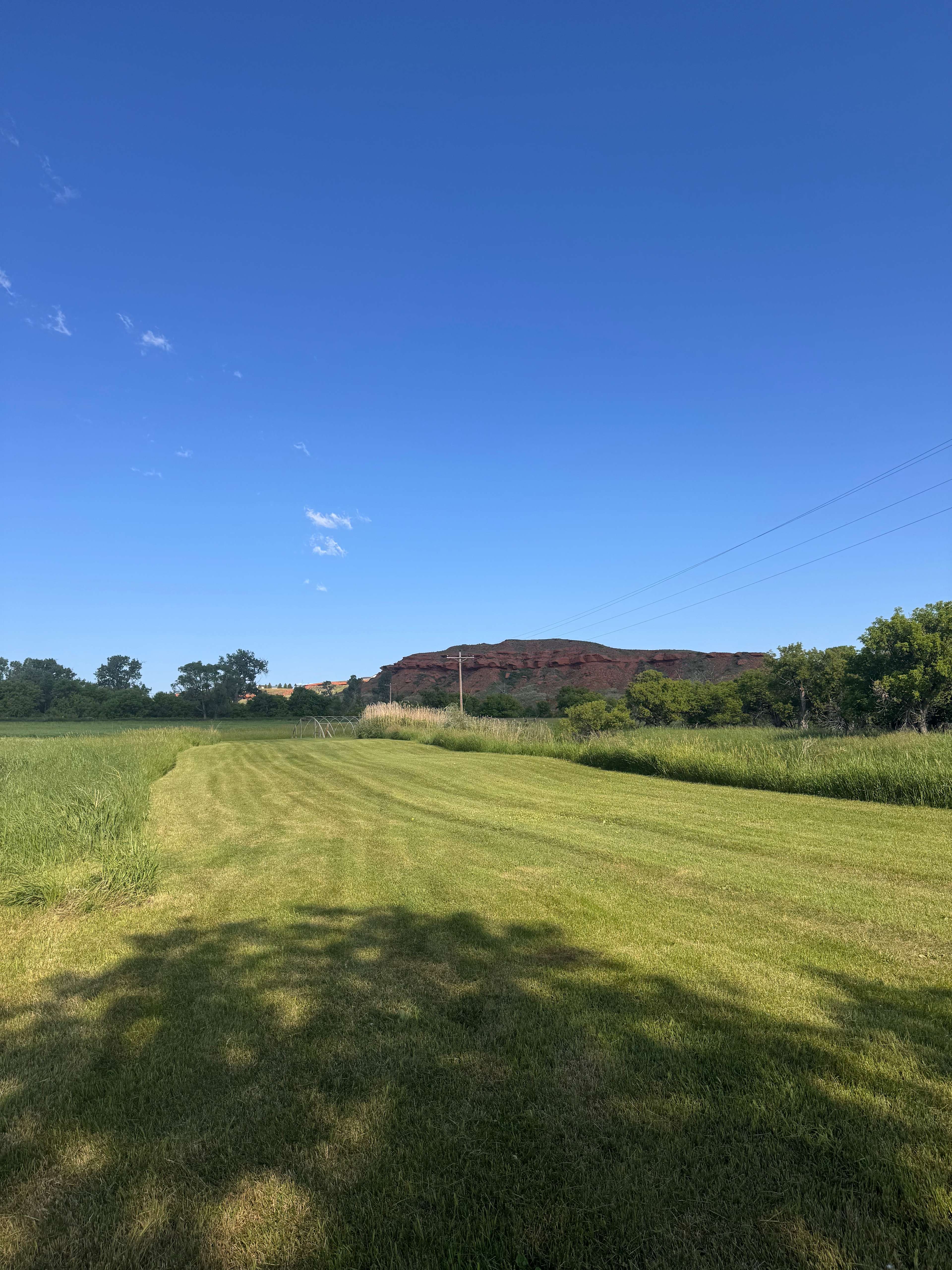 View from our site