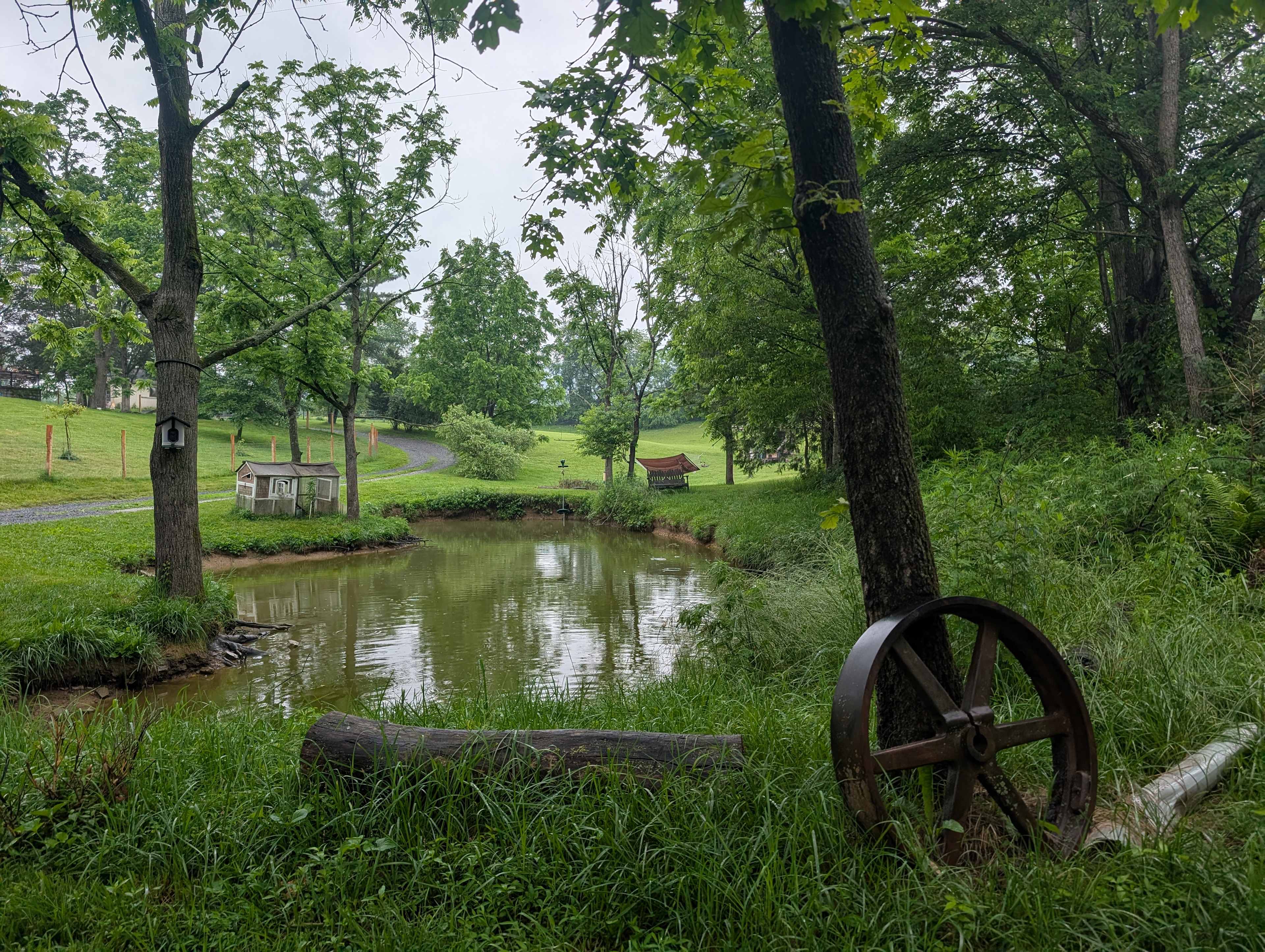 Pond near the entrance to the farm