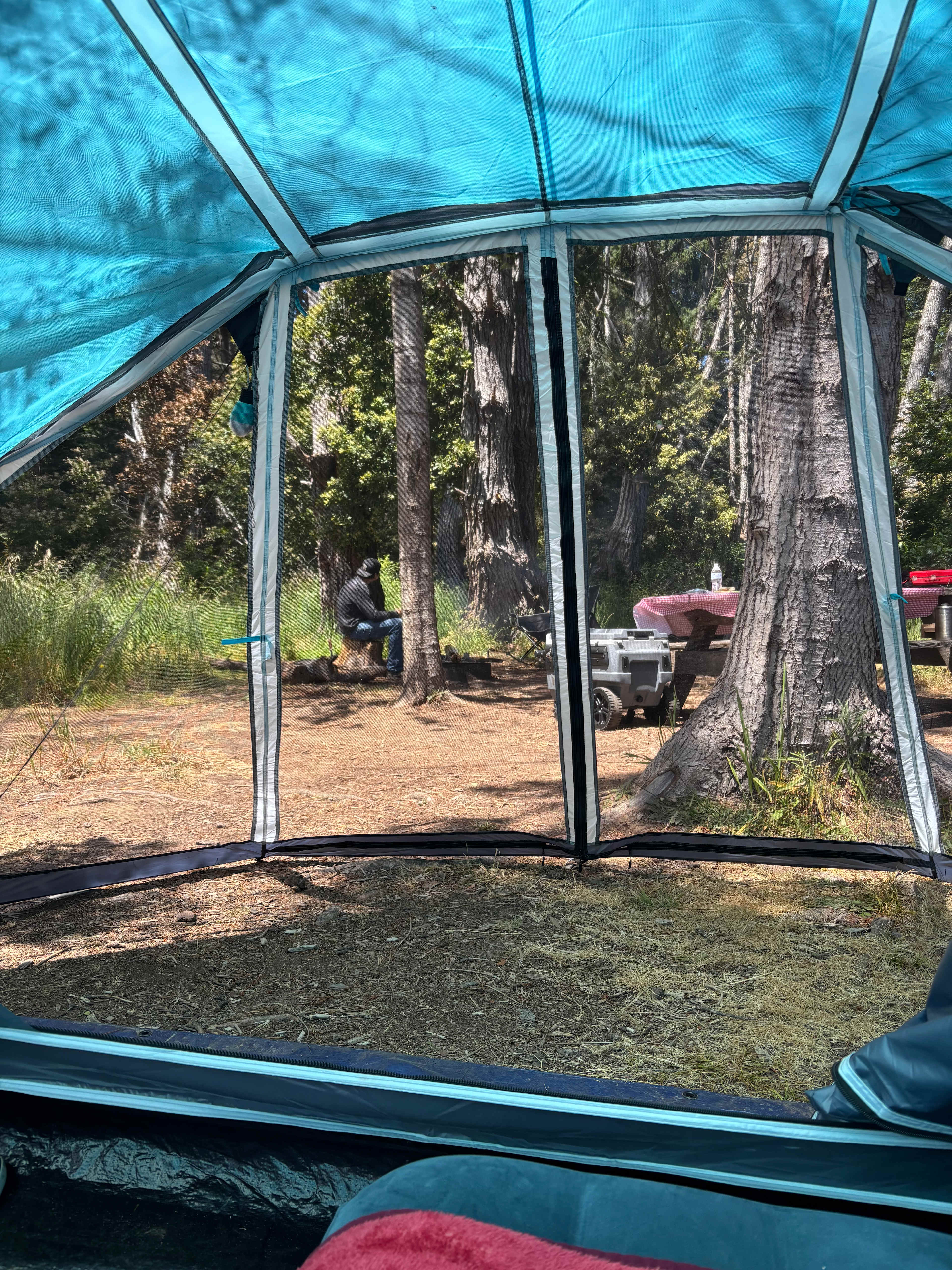 Jug Handle Creek Farm