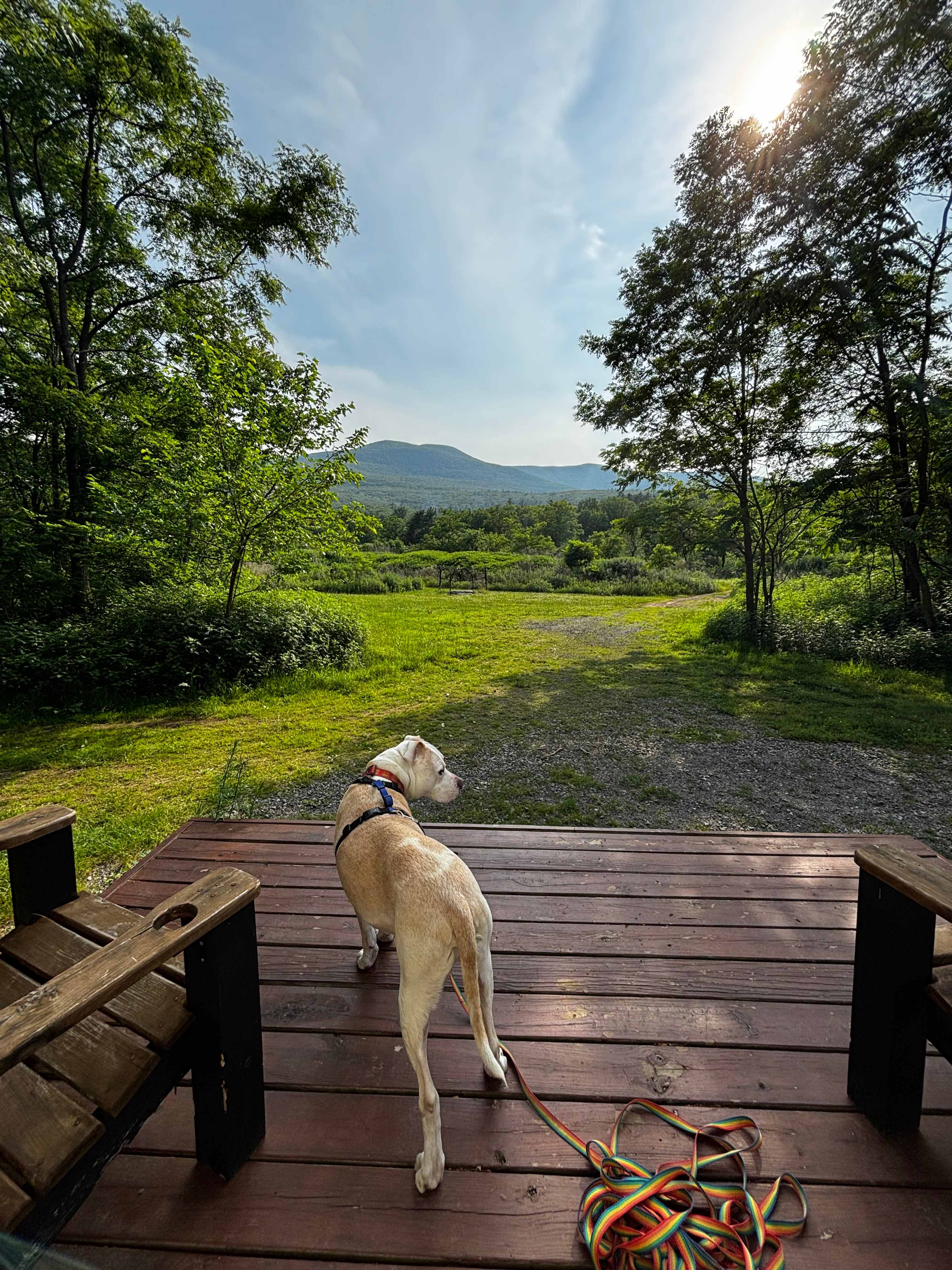 The Old Catskill Game Farm Zoo