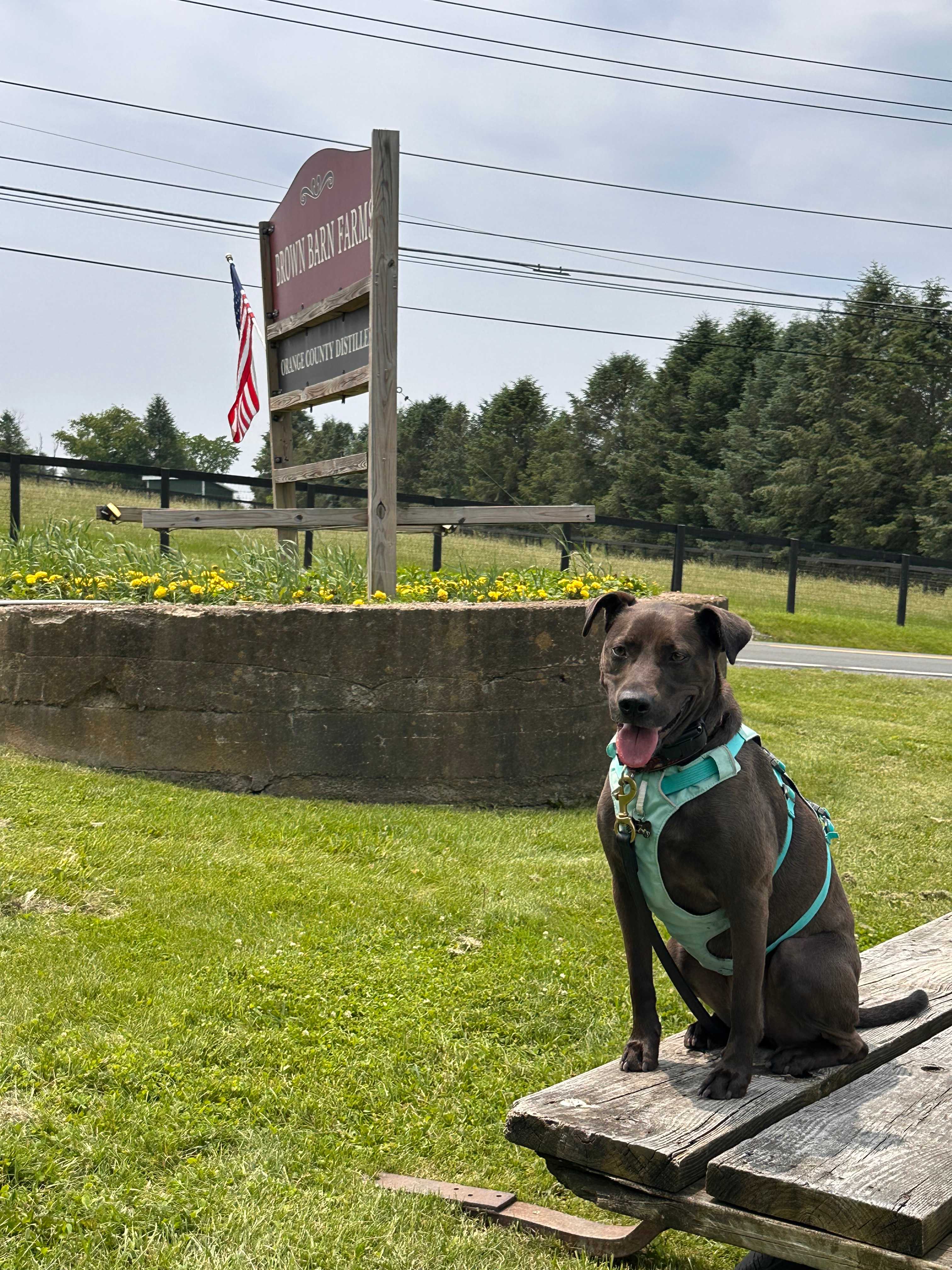 Brown Barn Farms