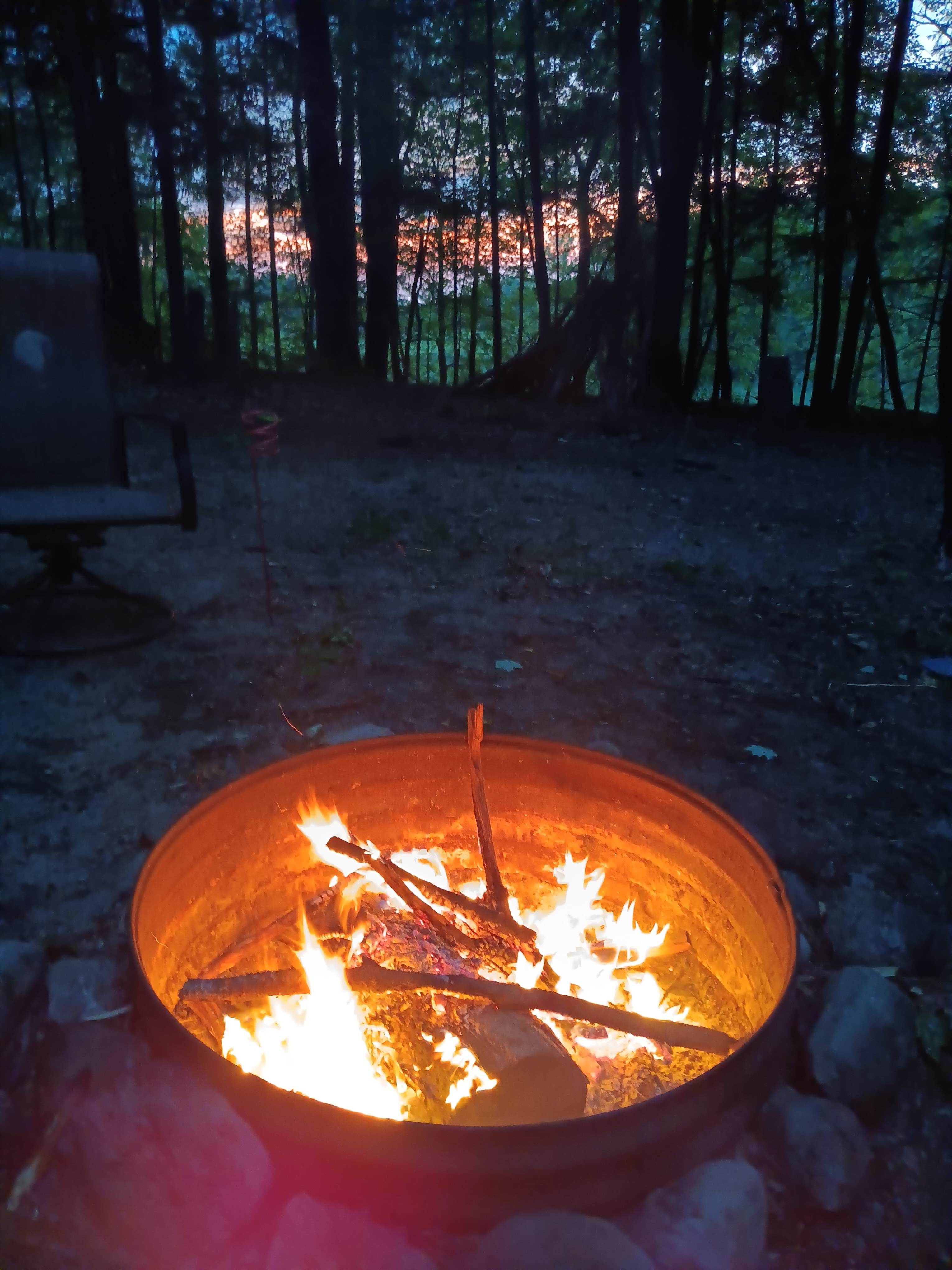 Mulligan's Valley in the Woods