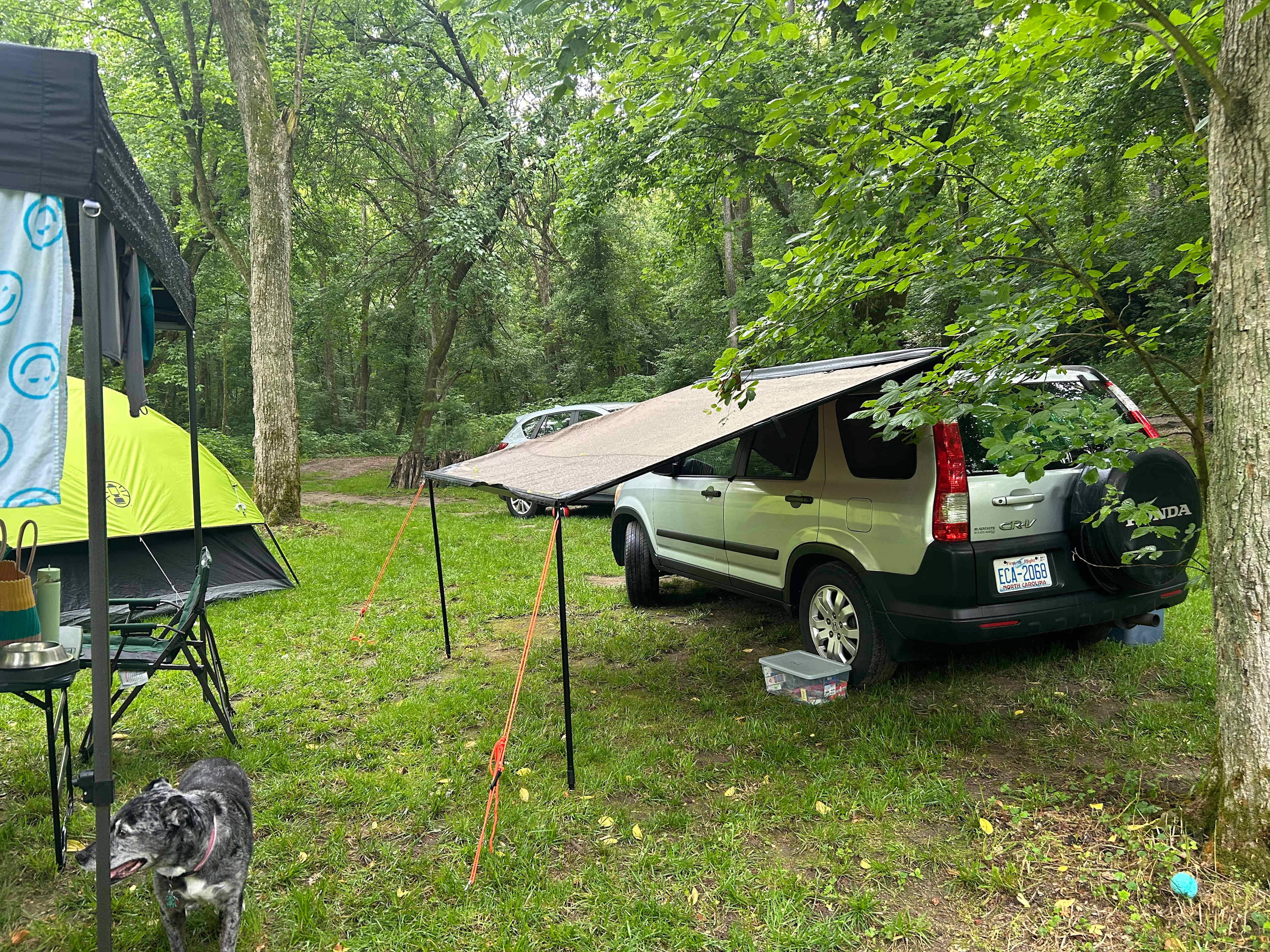 Cabin and Tent Camping On The River