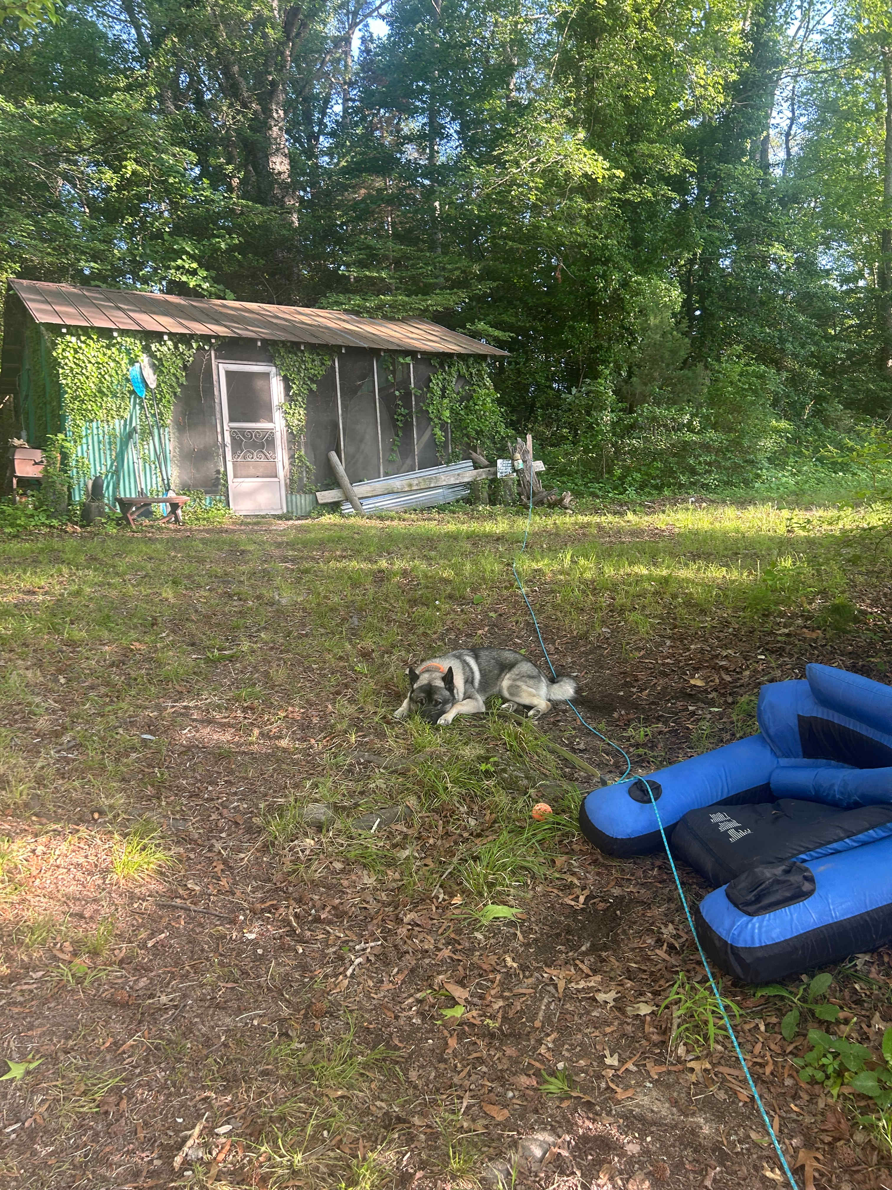 Host’s shelter