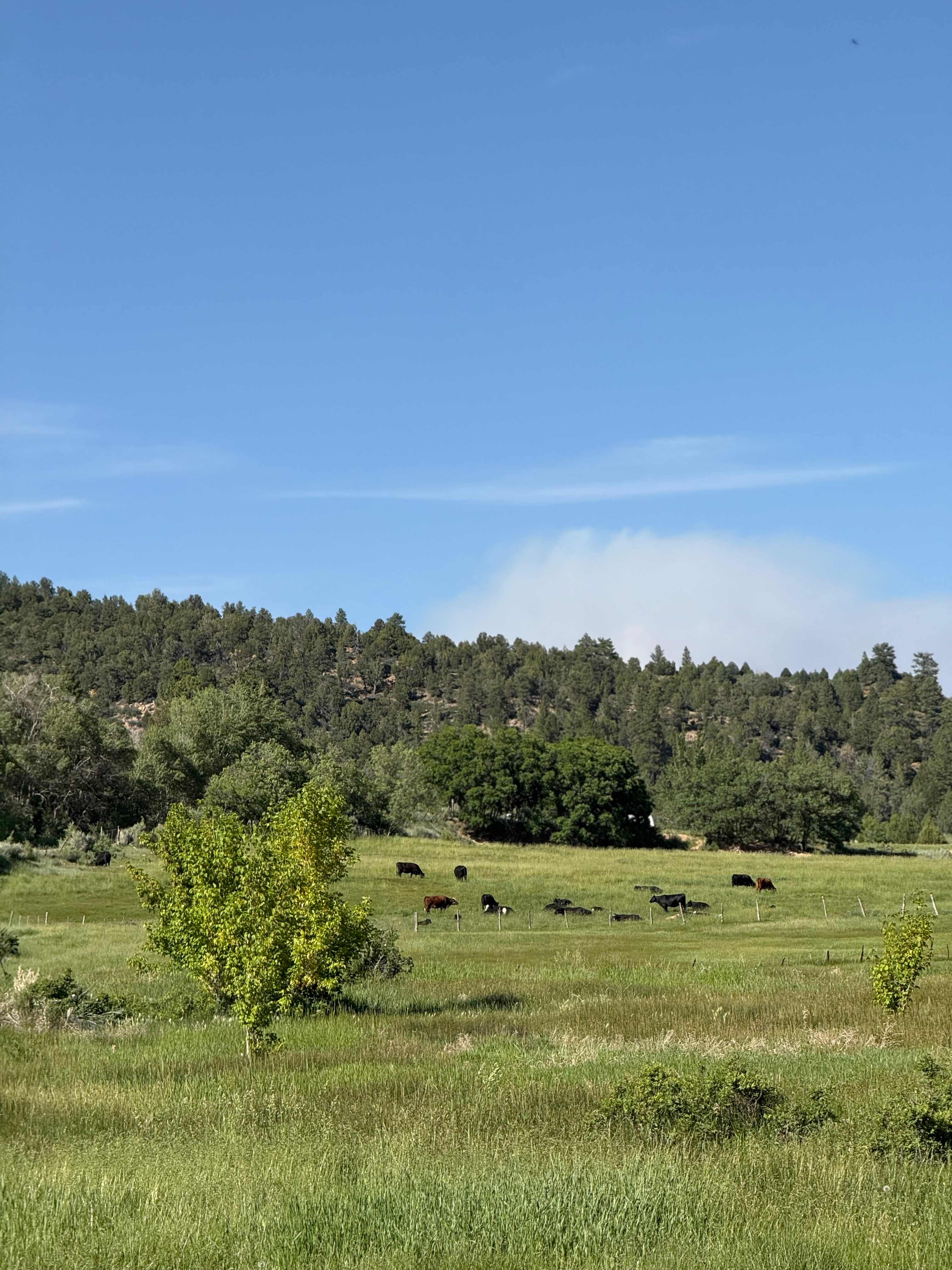Bryce Zion Campground