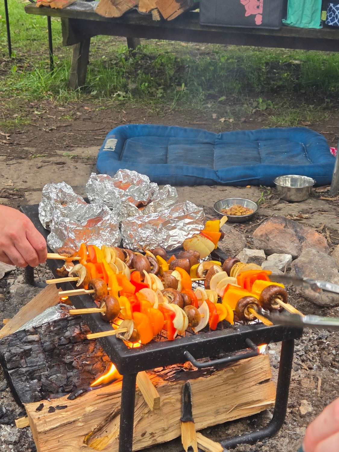 Great fire pit (brought our own gril grate)