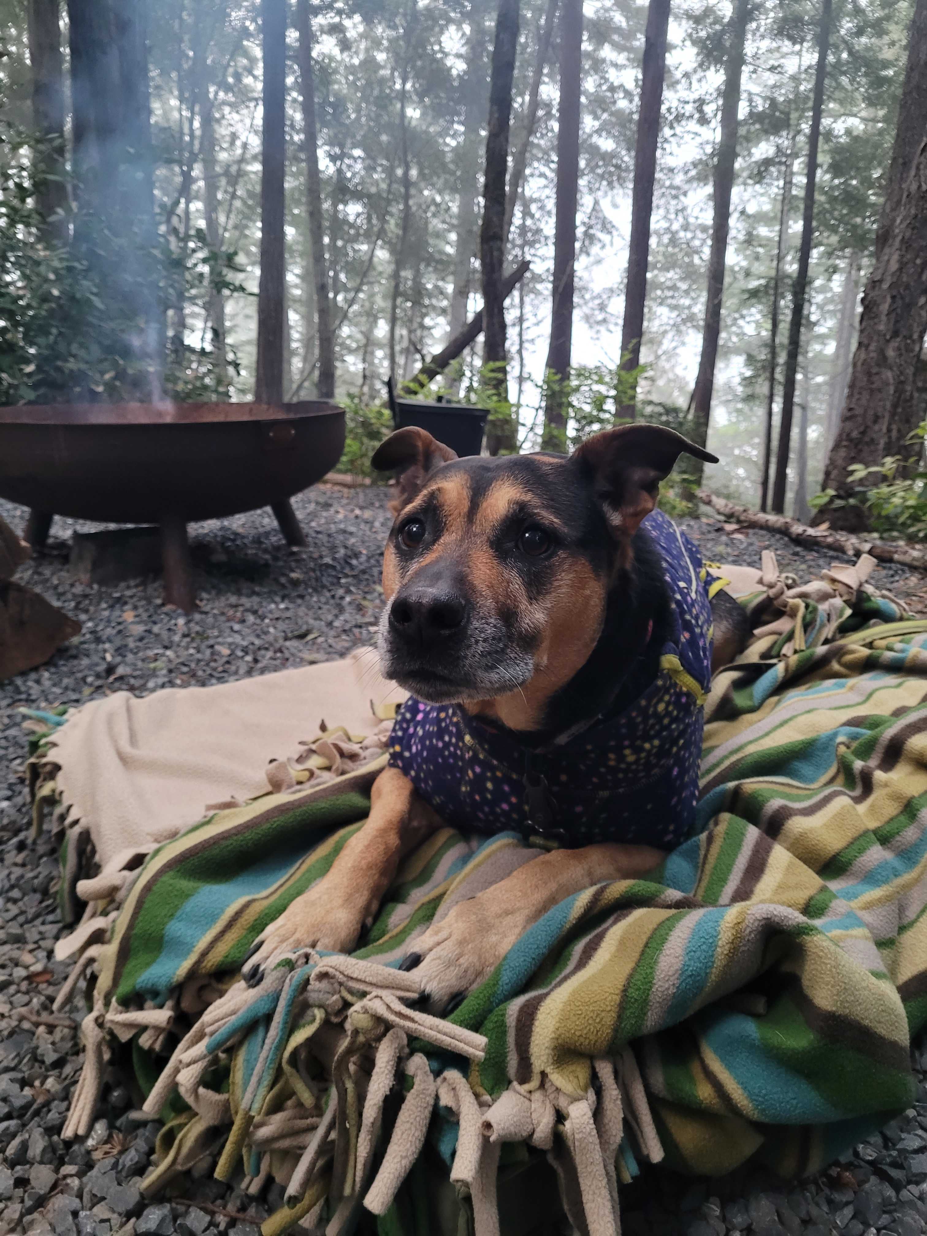 Pickle Barrel Cabin and Camp