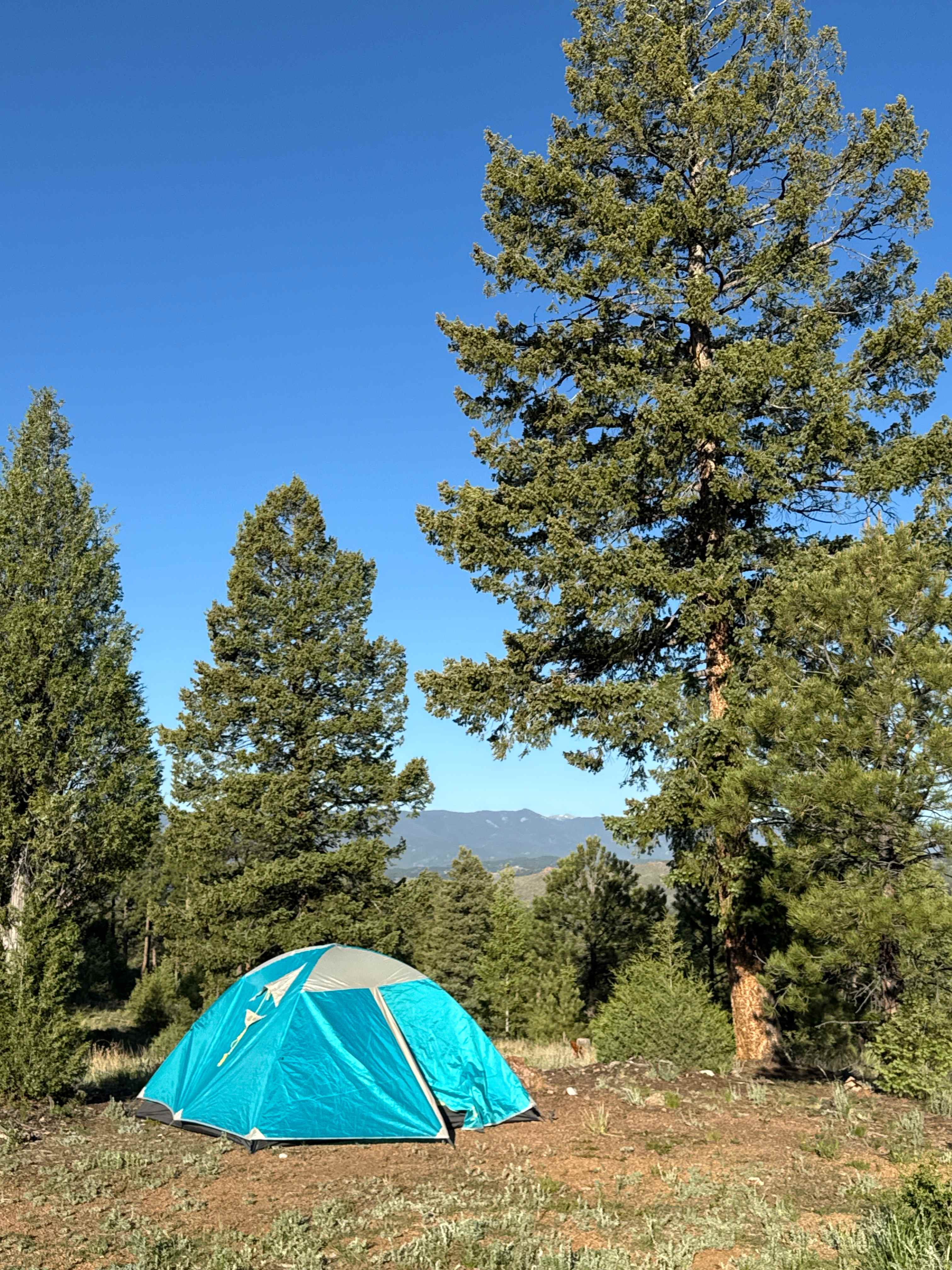Site 11