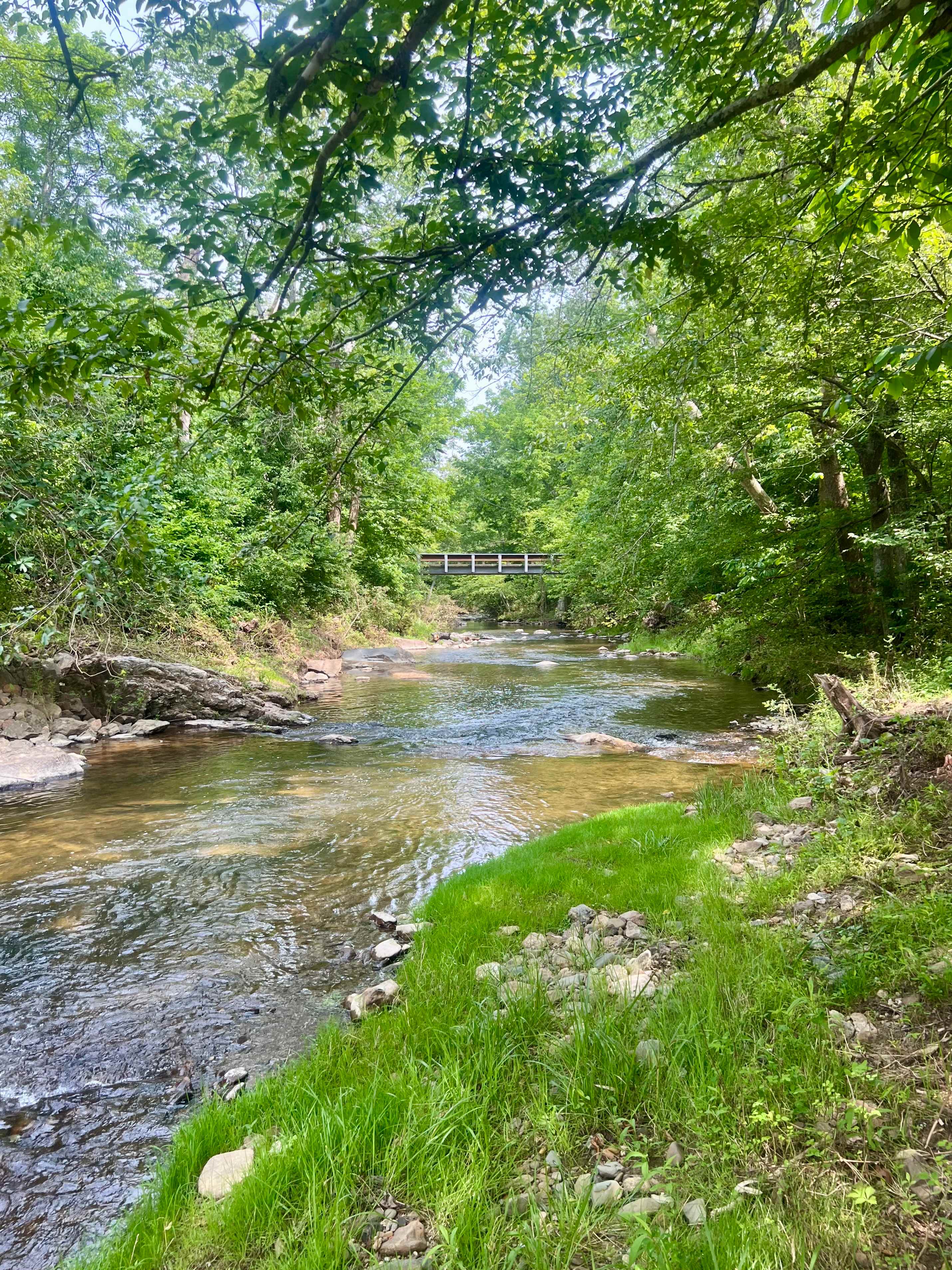 Beaver Cove