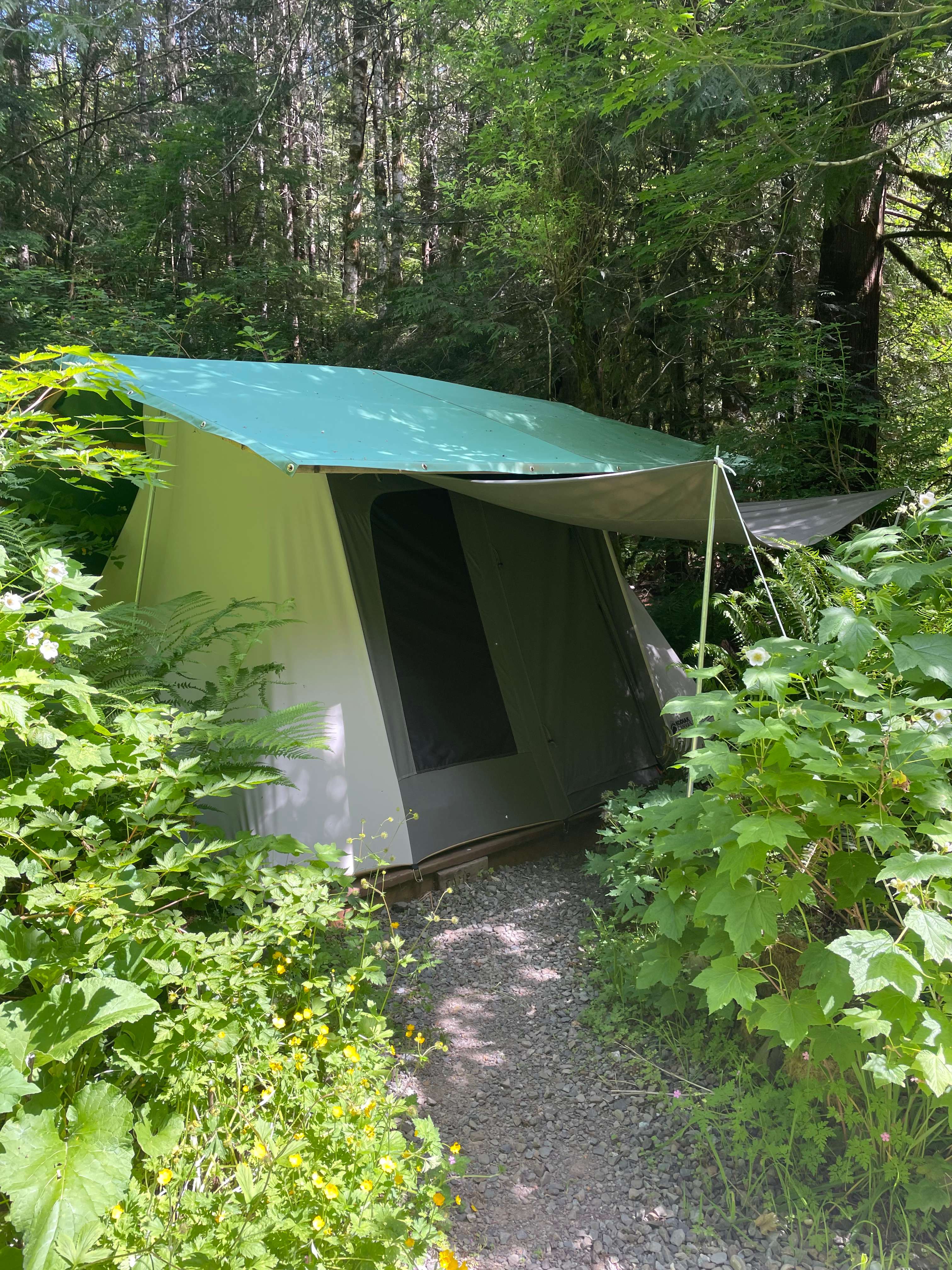 Site 6