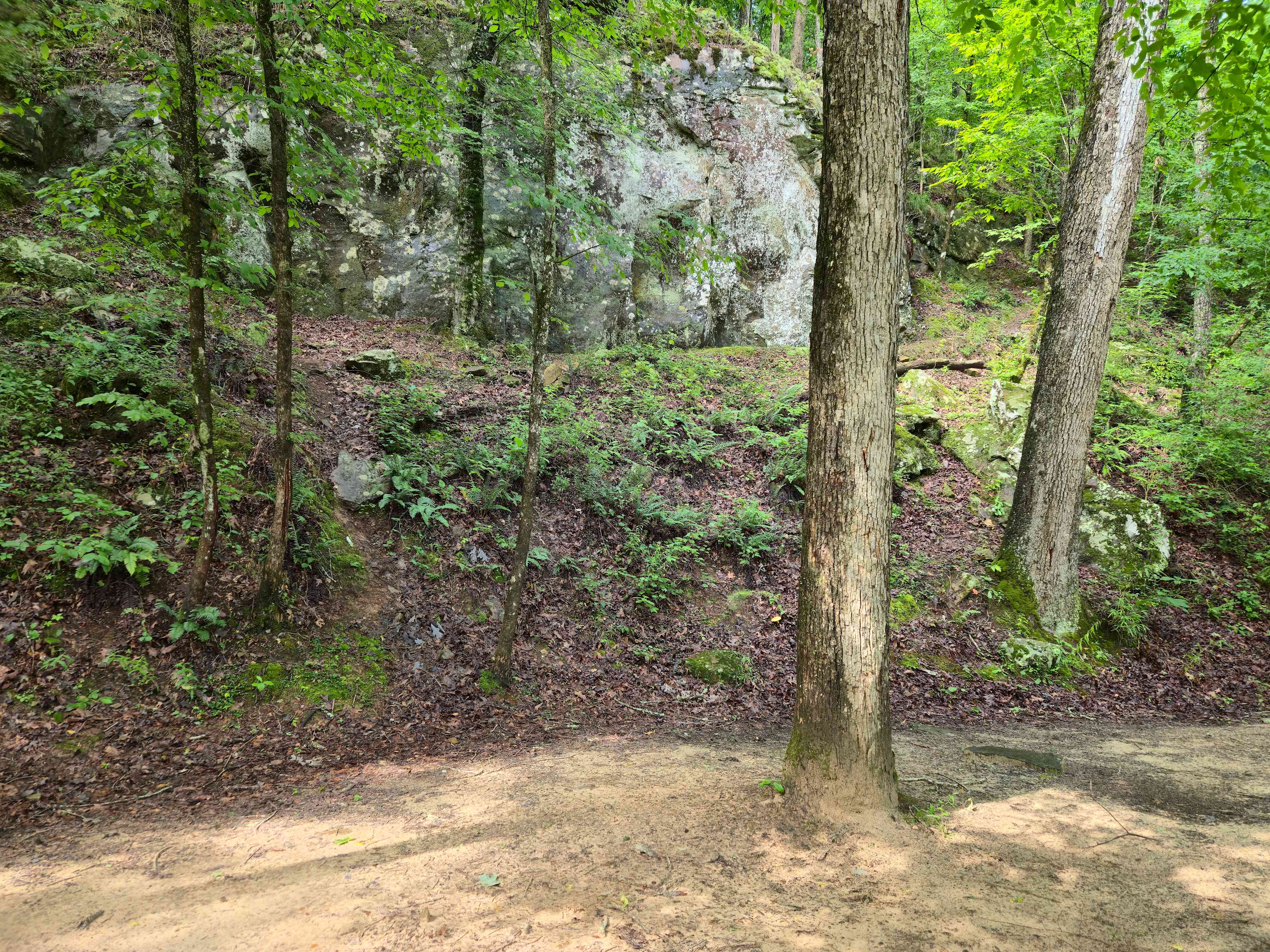 Pinnacle Springs Recreational Park