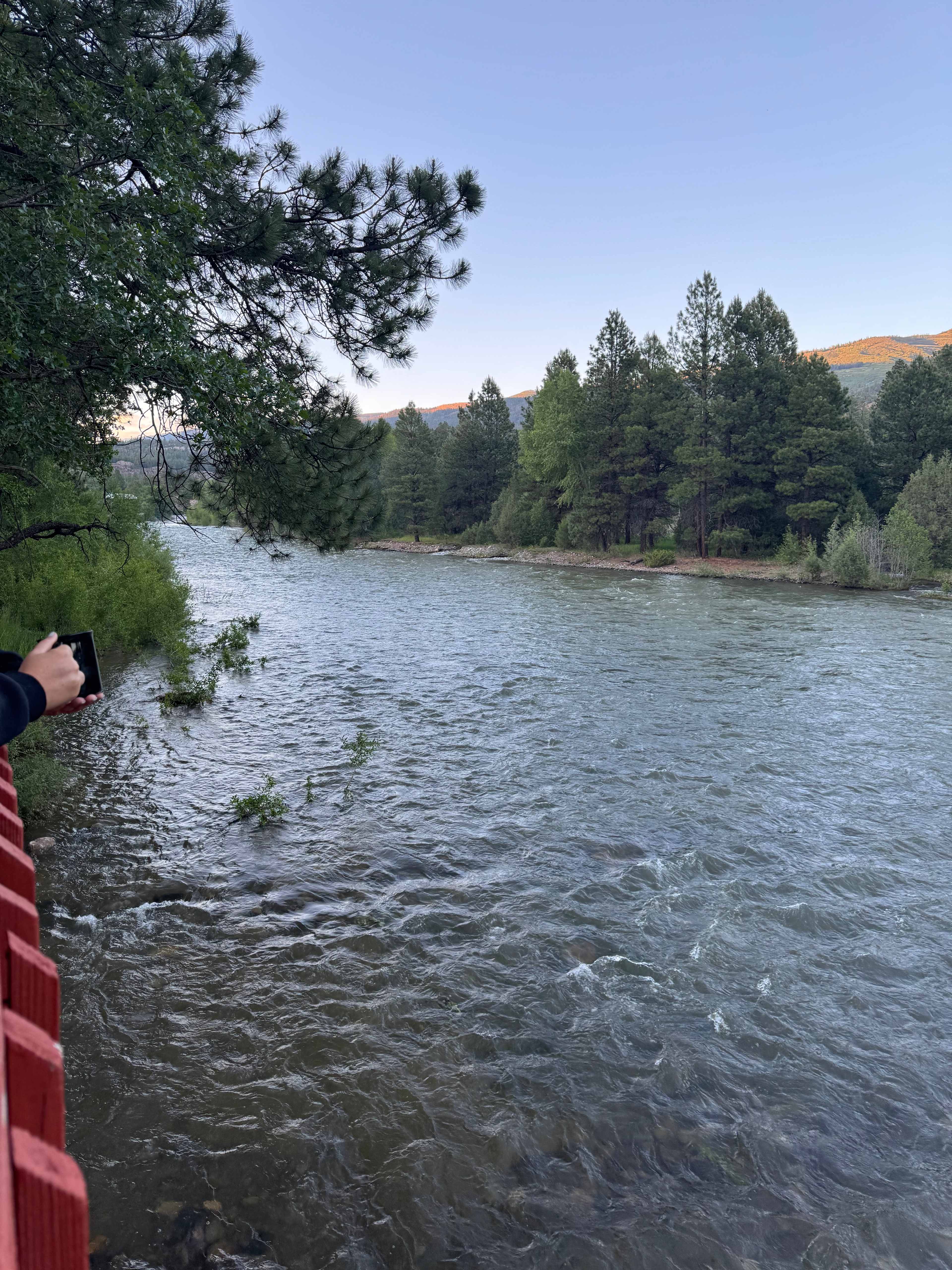 The roaring Animas from the observation deck. Grab a cup and enjoy. 