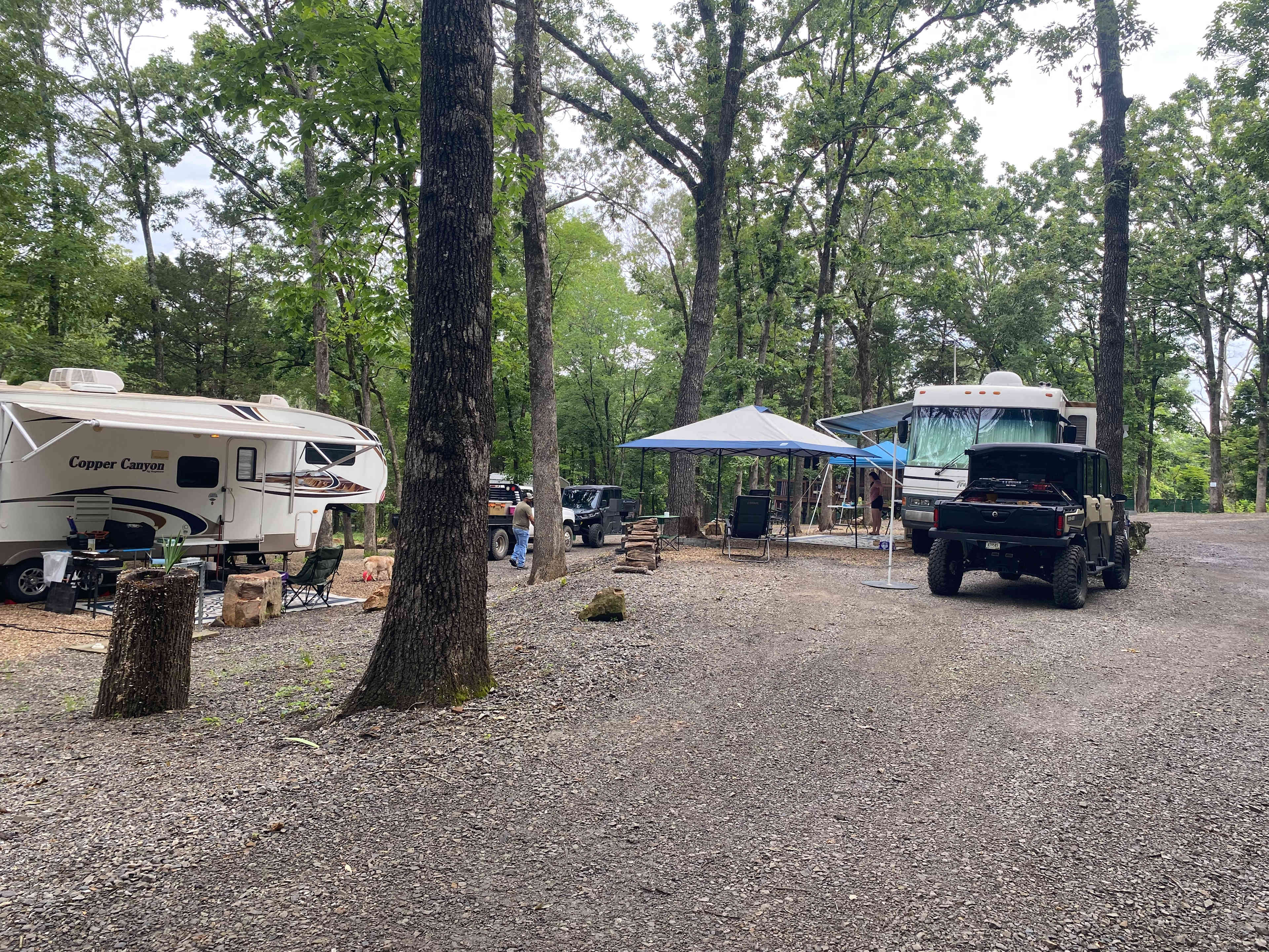Picture of the site