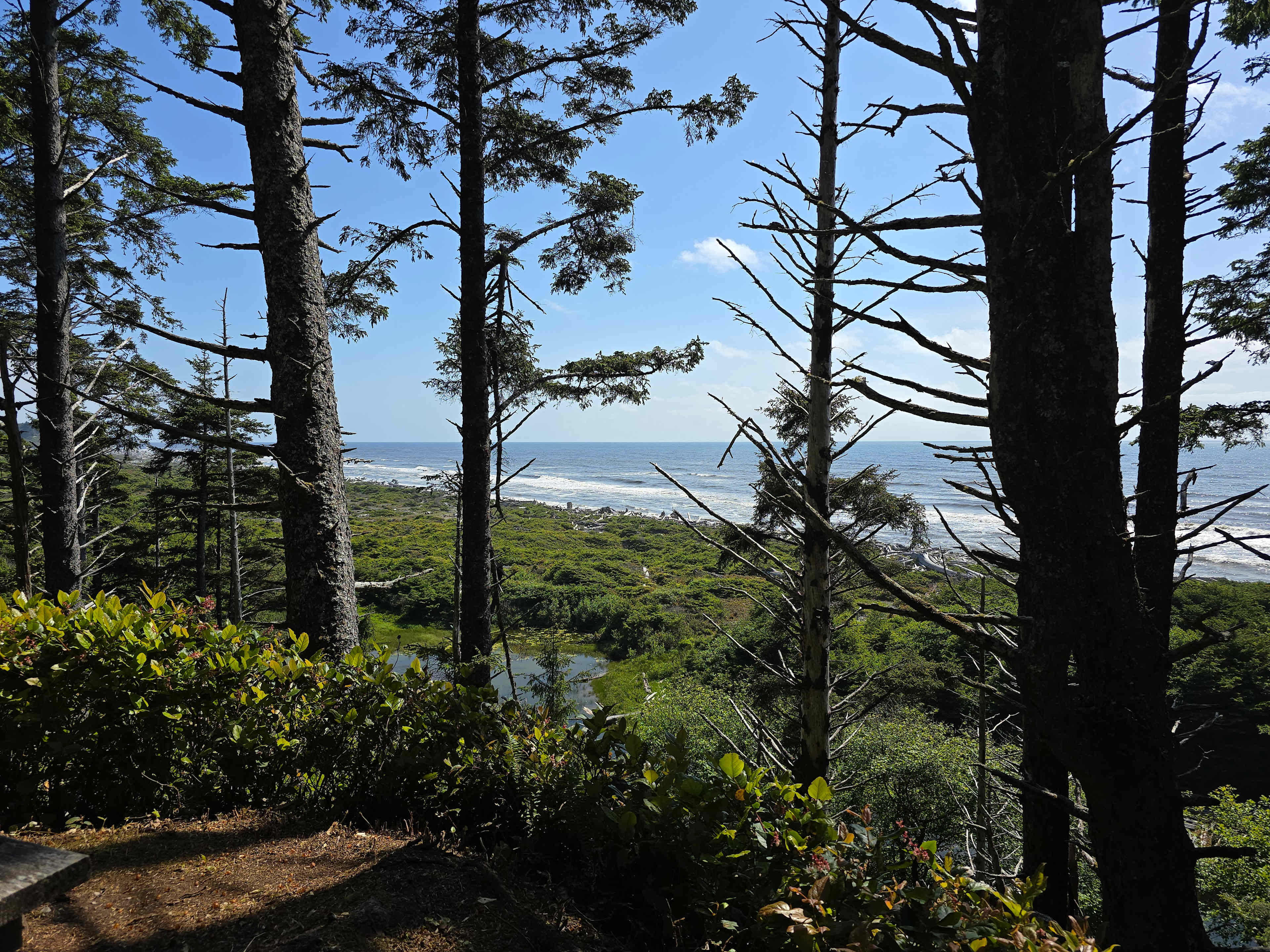 Wild WA Coast Lookout ($75 - $125)