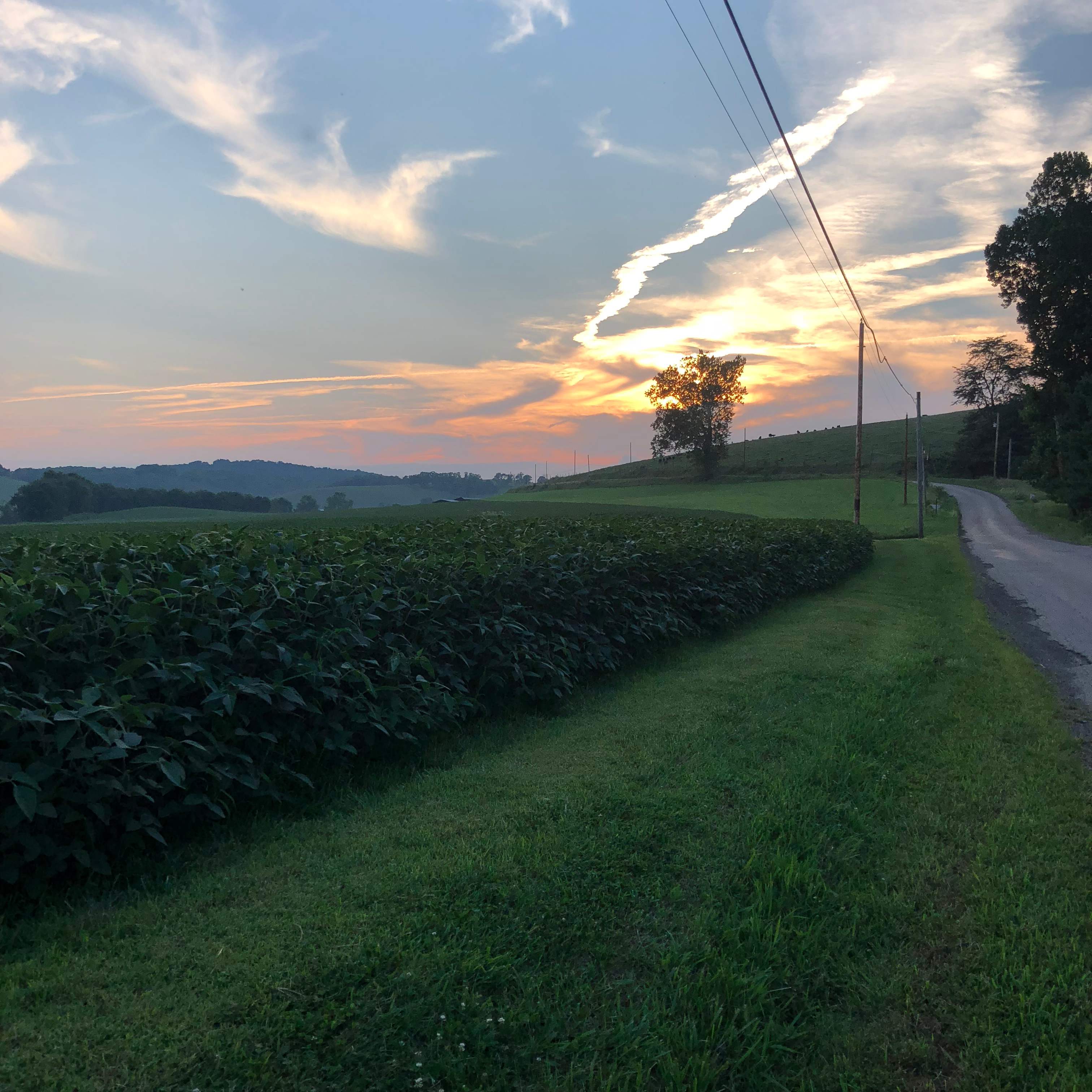 Oaklawn Land & Livestock LLC