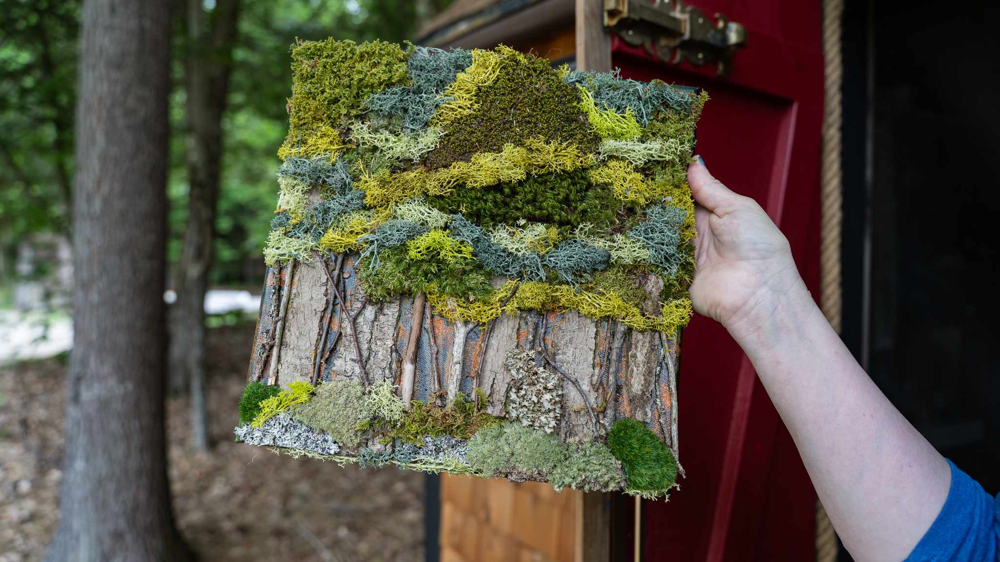 Christine does beautiful artwork from all of the different moss throughout the area - look at all those colors!