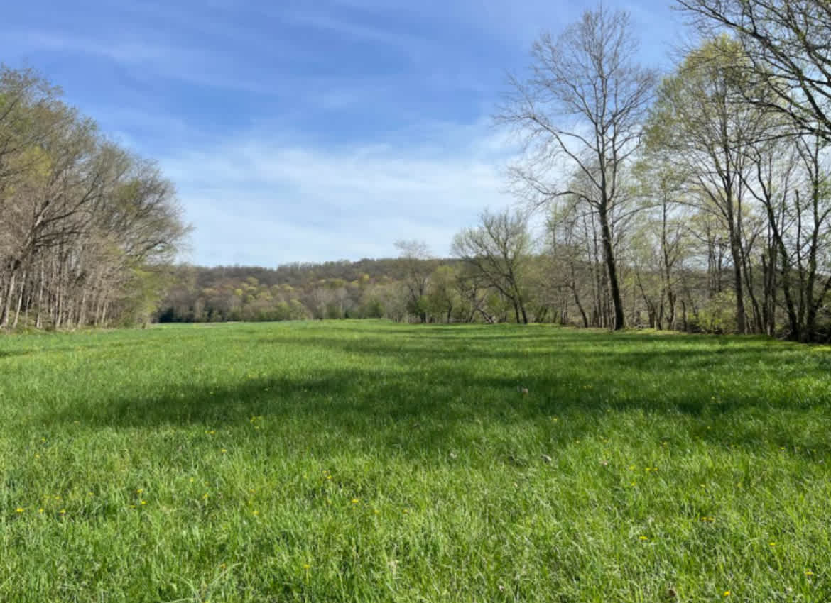Oaklawn Land & Livestock LLC