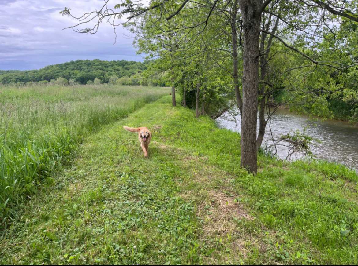 Oaklawn Land & Livestock LLC