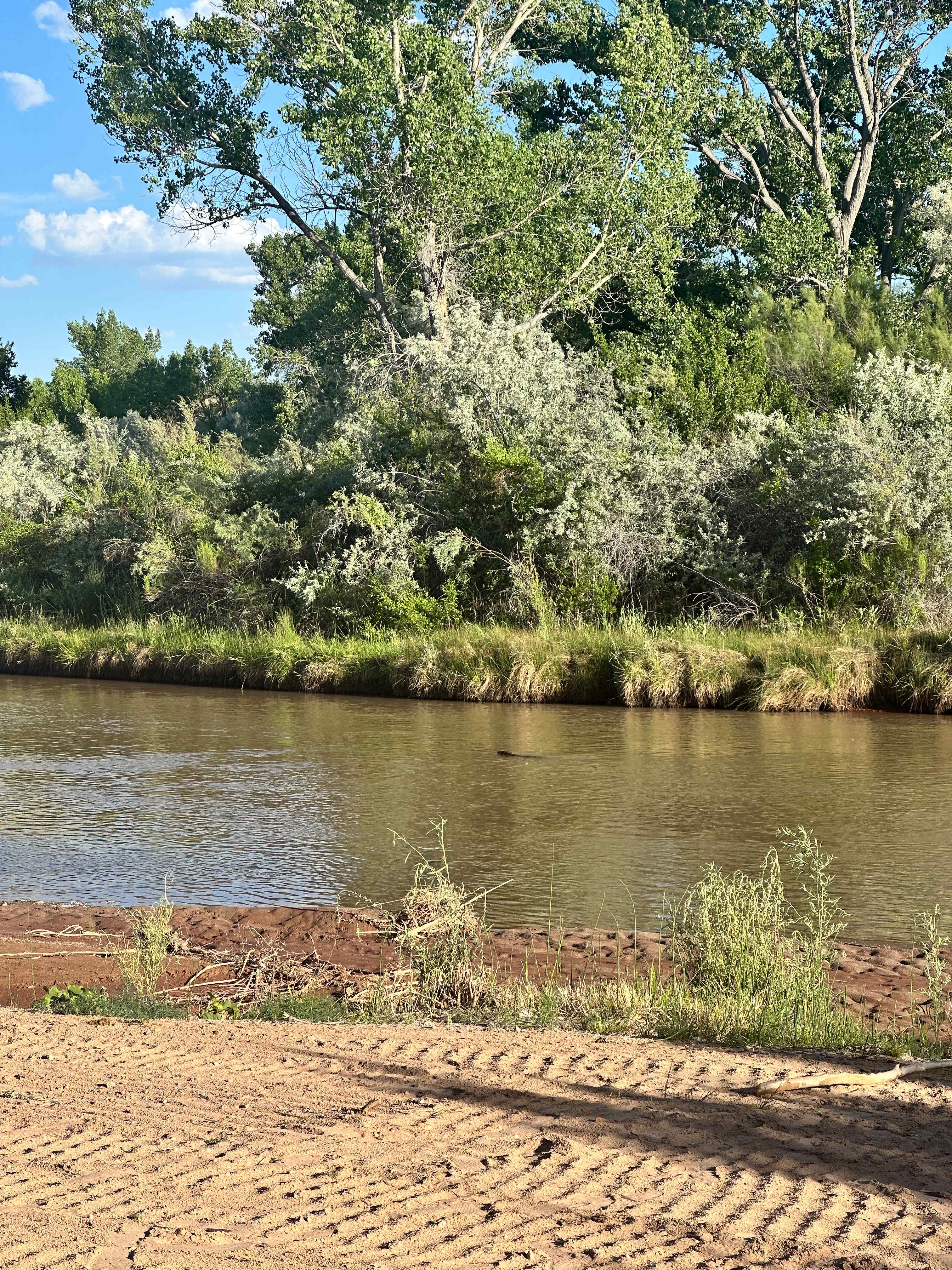 Viento Del Rio RV River Campsite